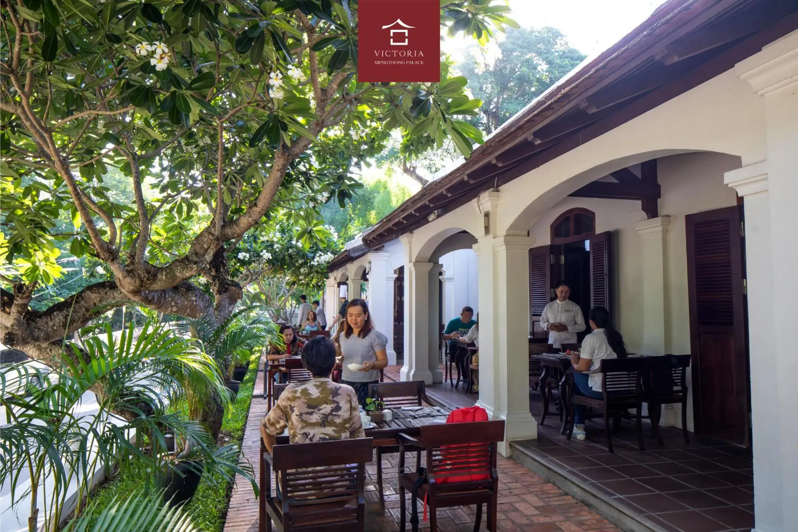 Restaurant/places to eat in Victoria XiengThong Palace Restaurant/places to eat in Victoria XiengThong Palace