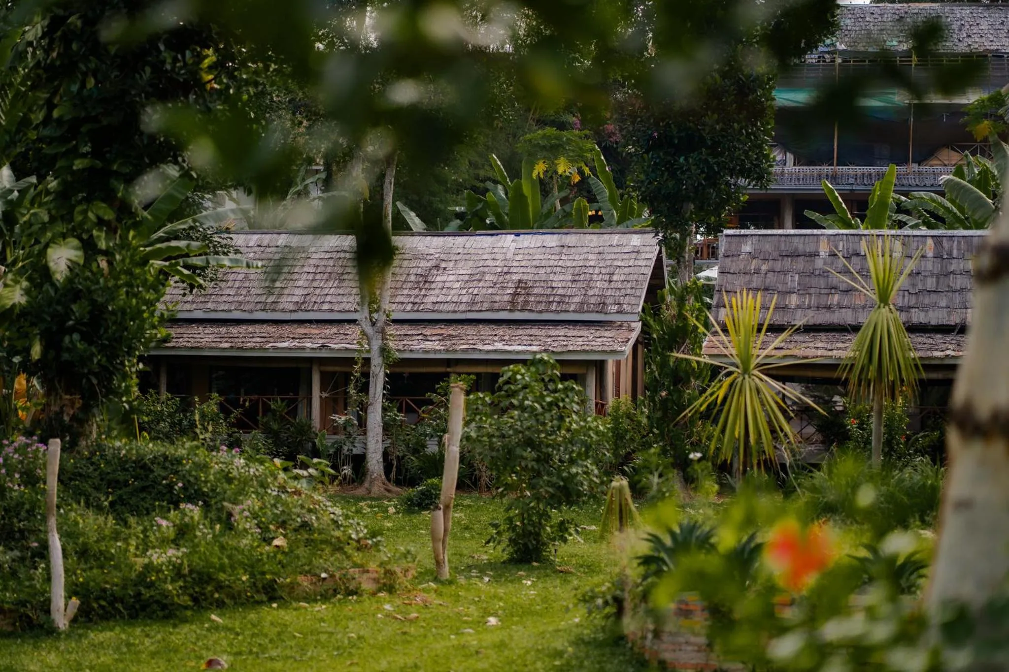 Garden view in My Dream Boutique Resort