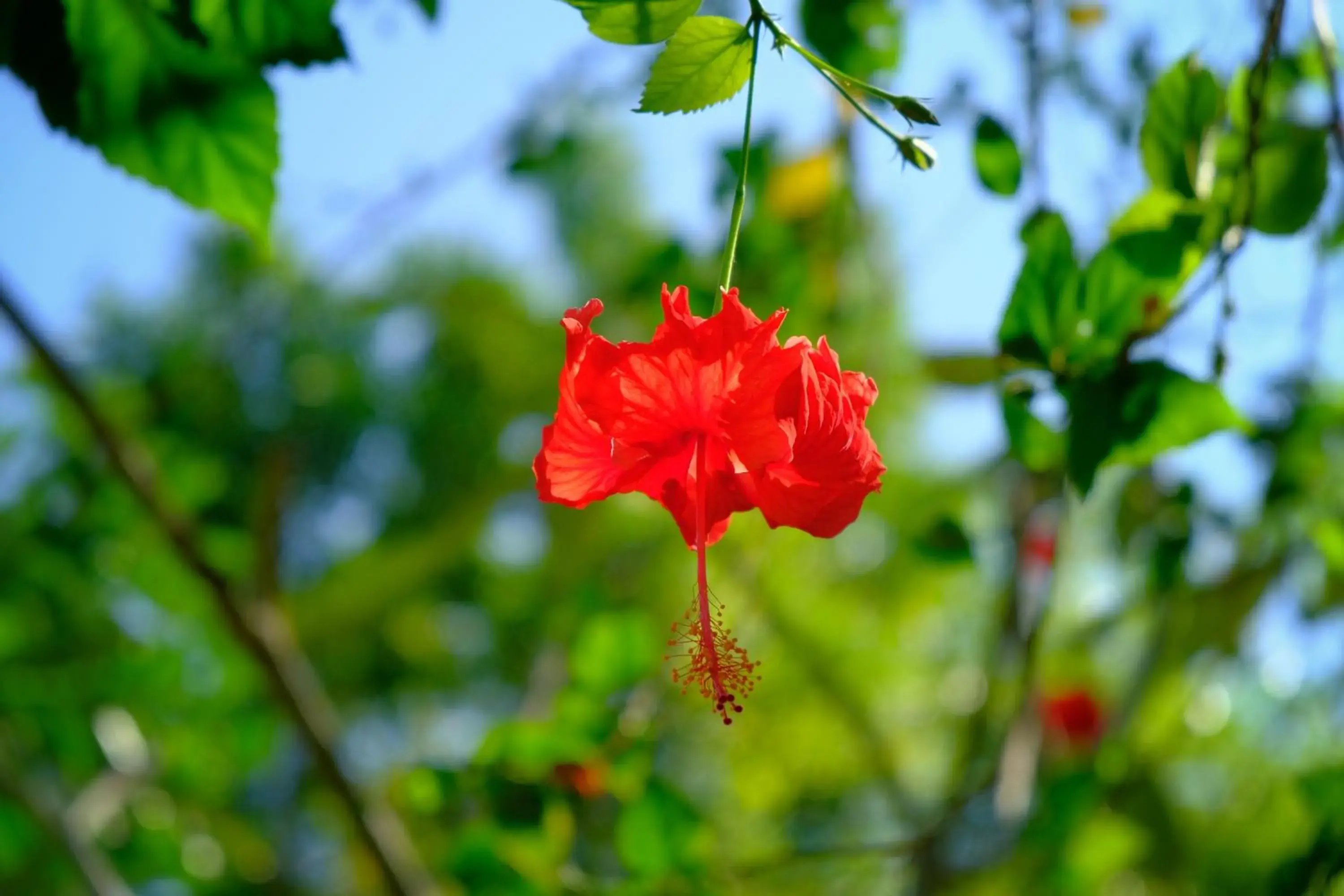 Property building in My Dream Boutique Resort Property building in My Dream Boutique Resort