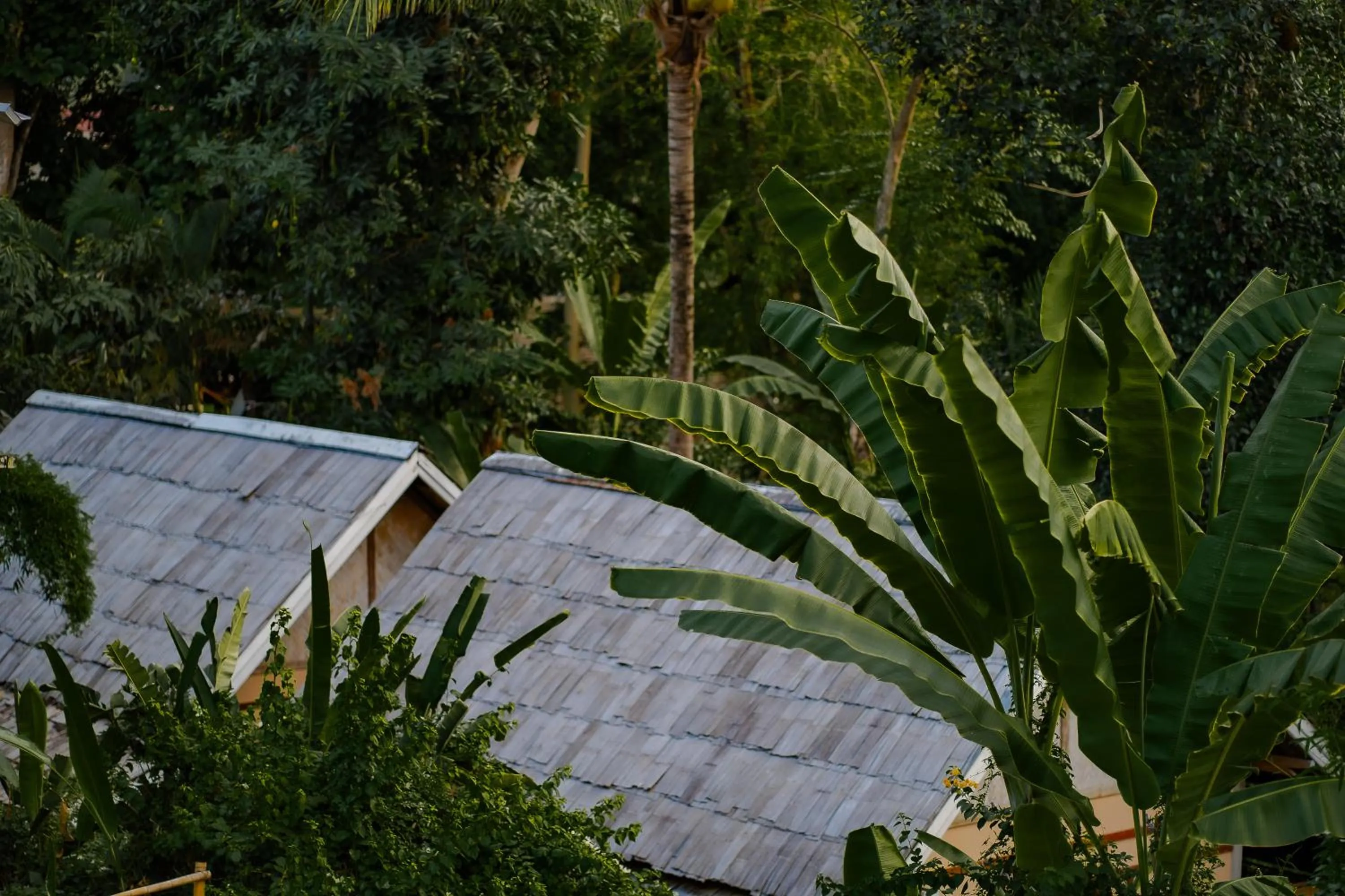 Property building in My Dream Boutique Resort