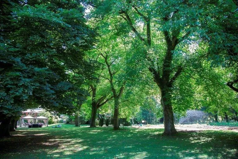 Garden in Restaurant Niedmühle Land & Genuss Hotel
