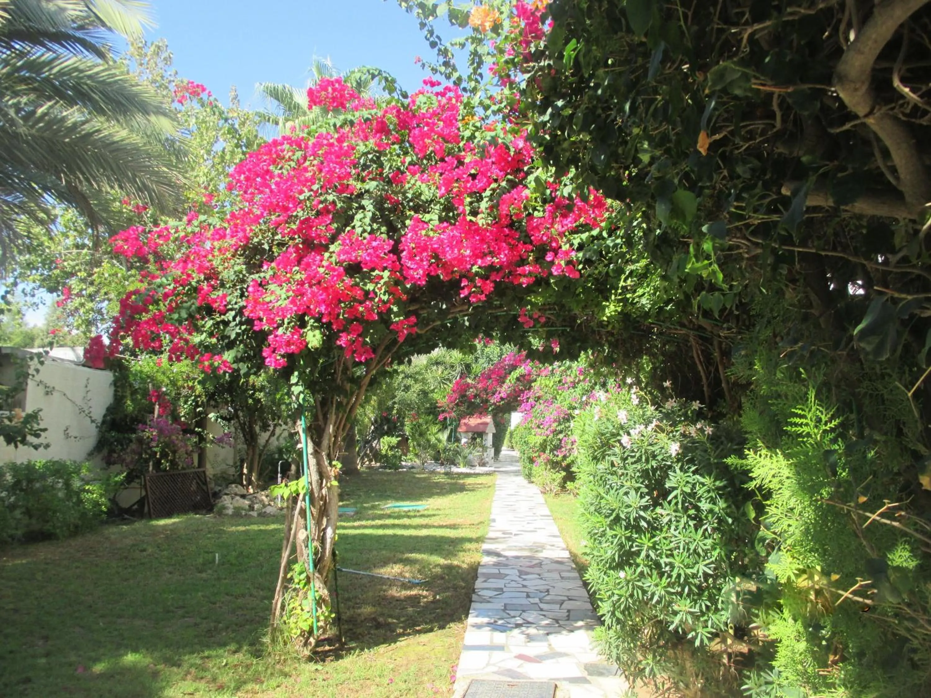 Natural landscape in Tsialis Hotel Apartments