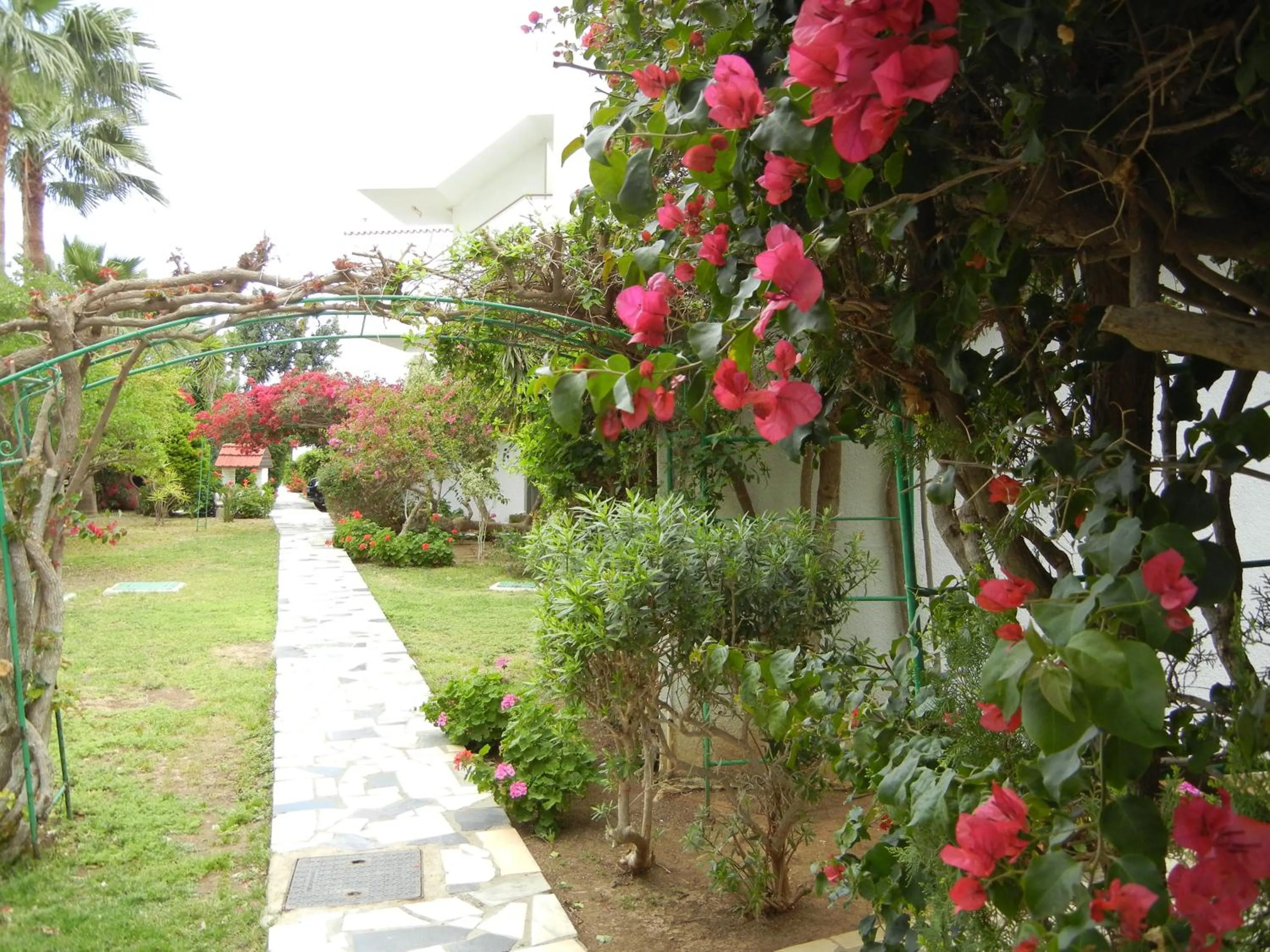 Day in Tsialis Hotel Apartments