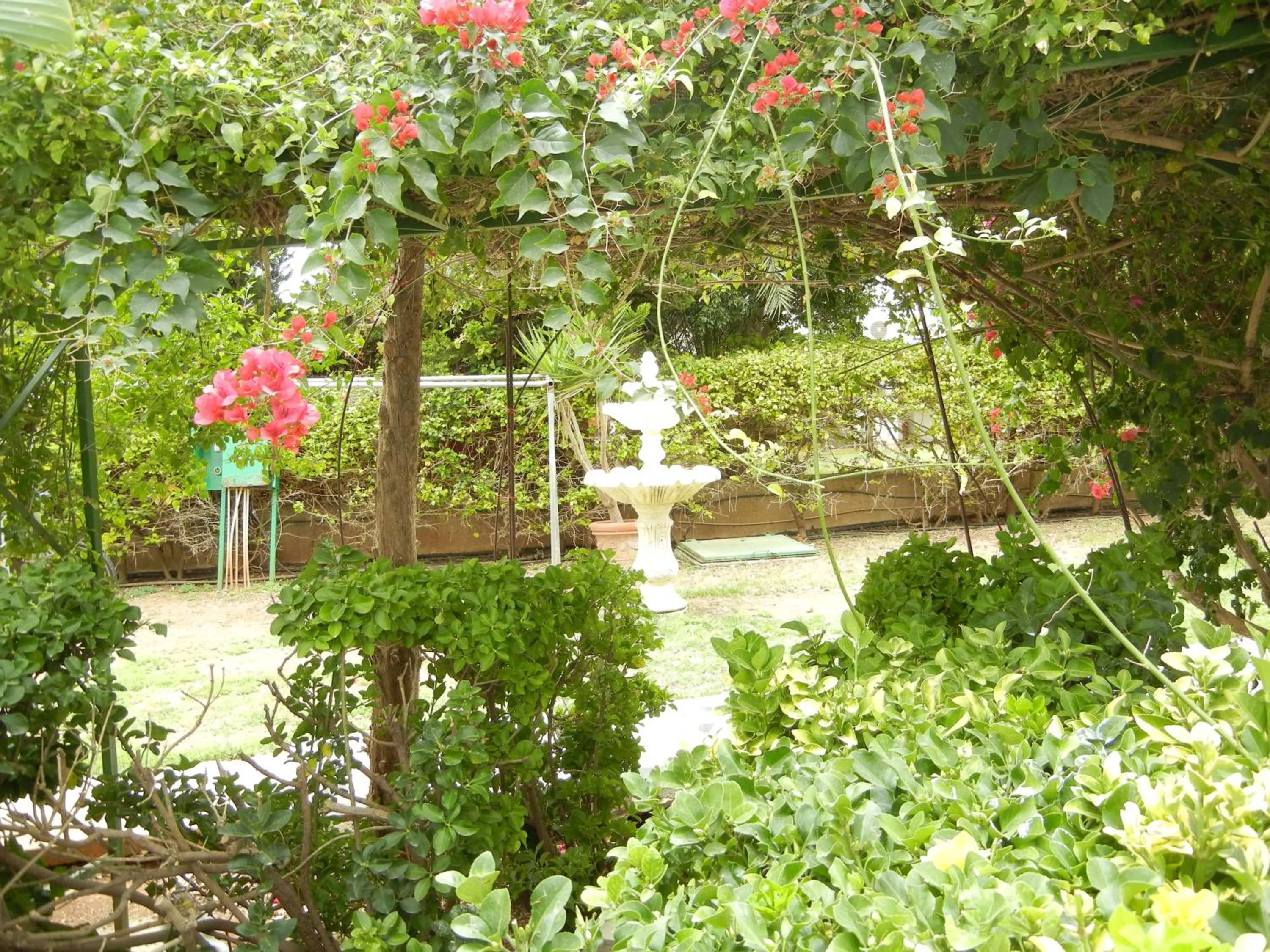 Day in Tsialis Hotel Apartments