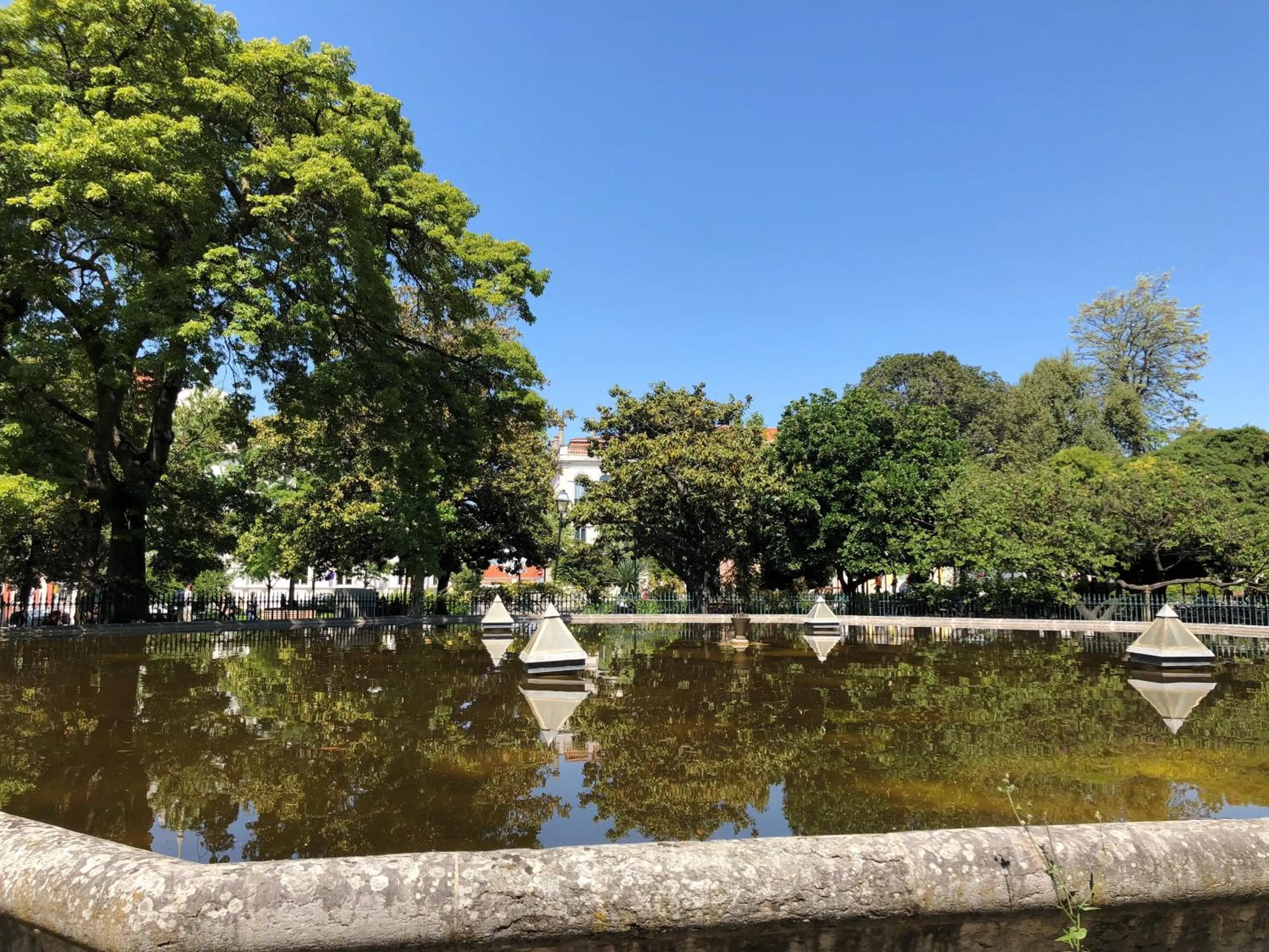 Botanic Views Guest House