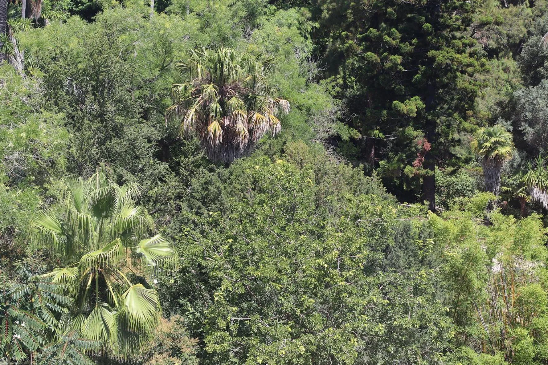 Garden view in Botanic Views Guest House