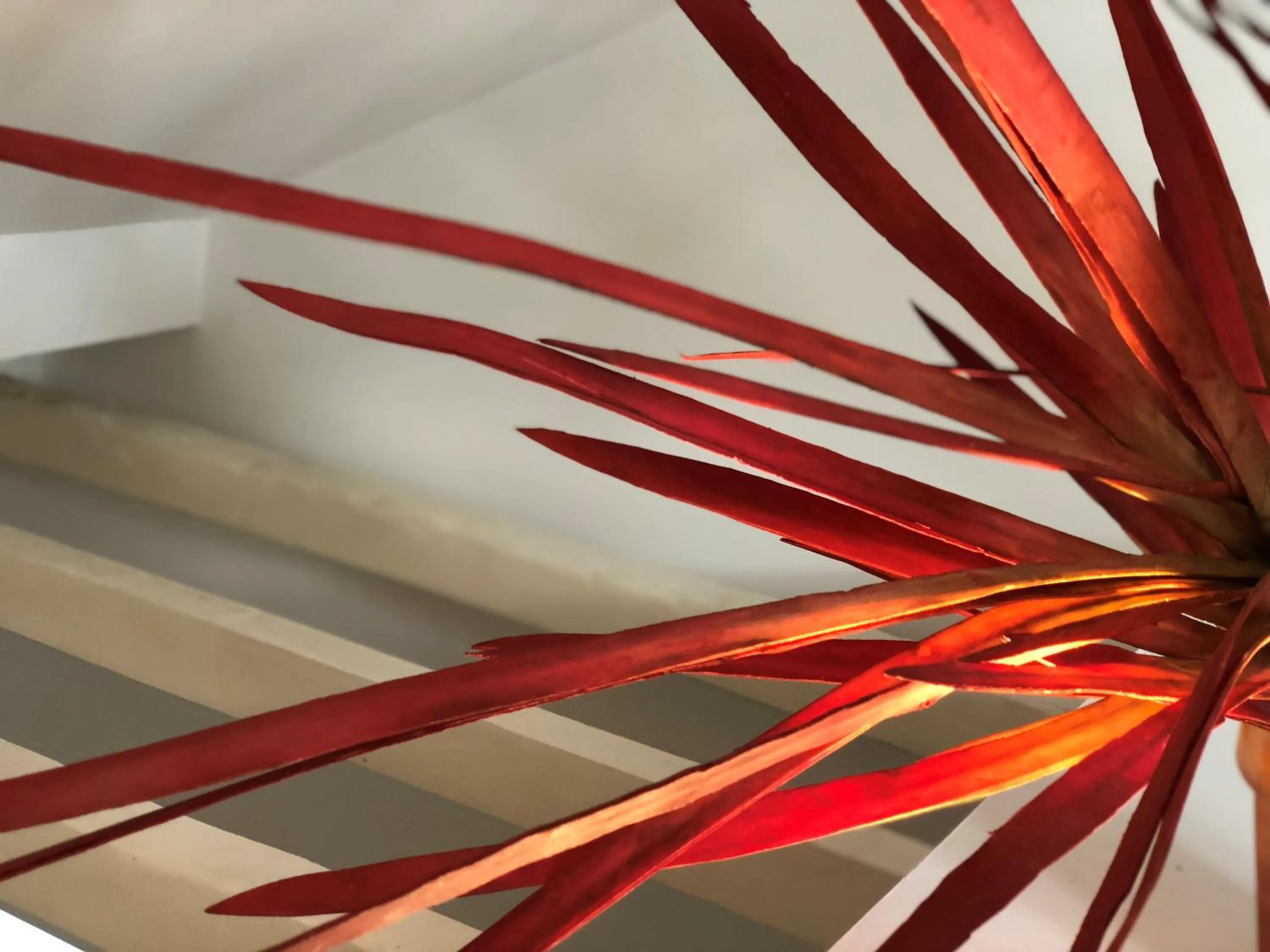 Botanic Views Guest House