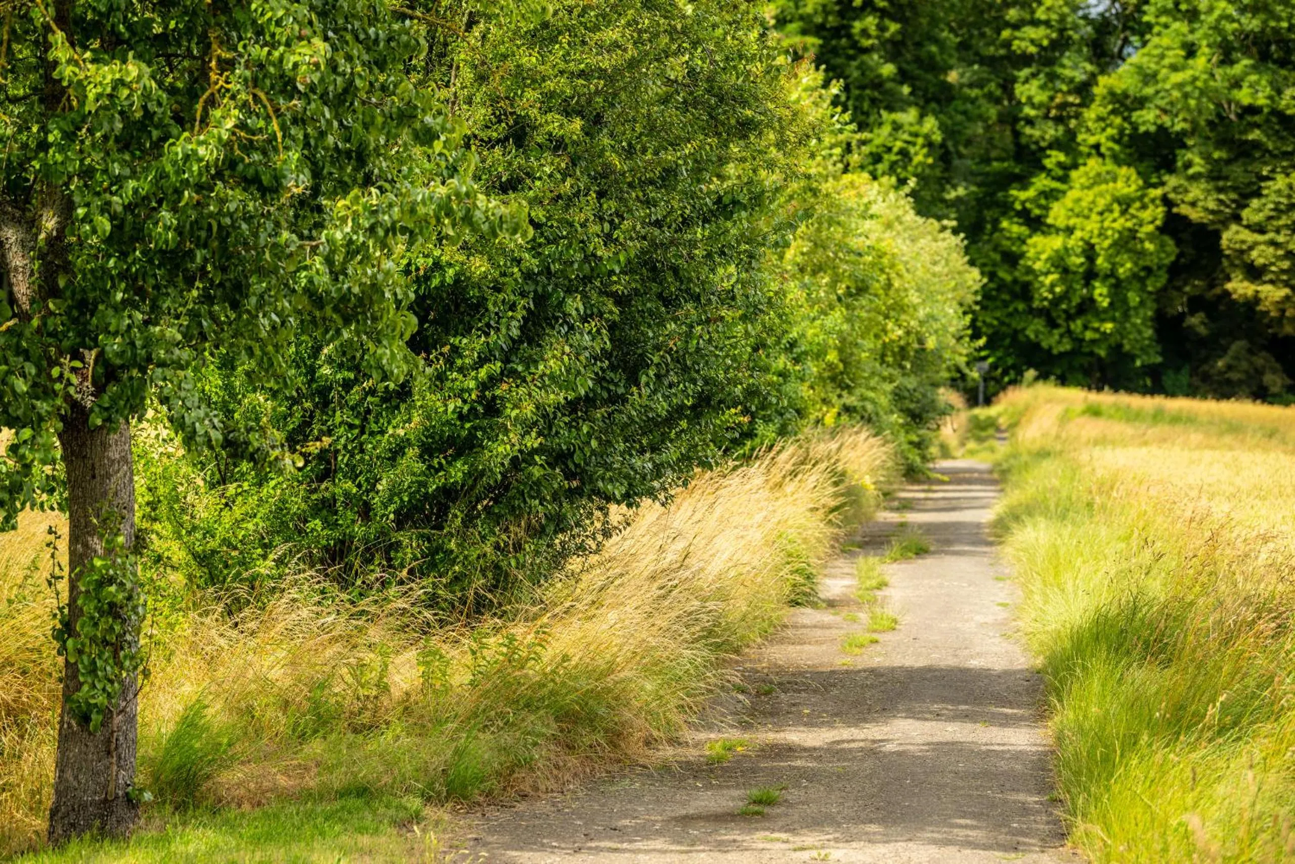 Area and facilities in Hotel Göttingen-West