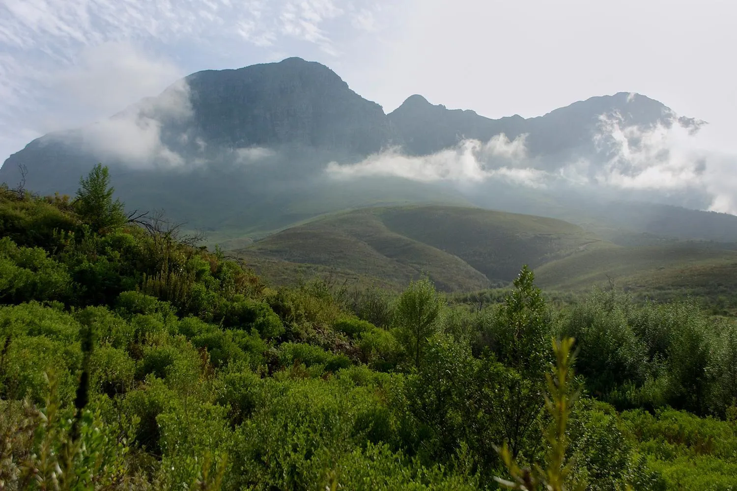Natural landscape in Golden Hill Guest House