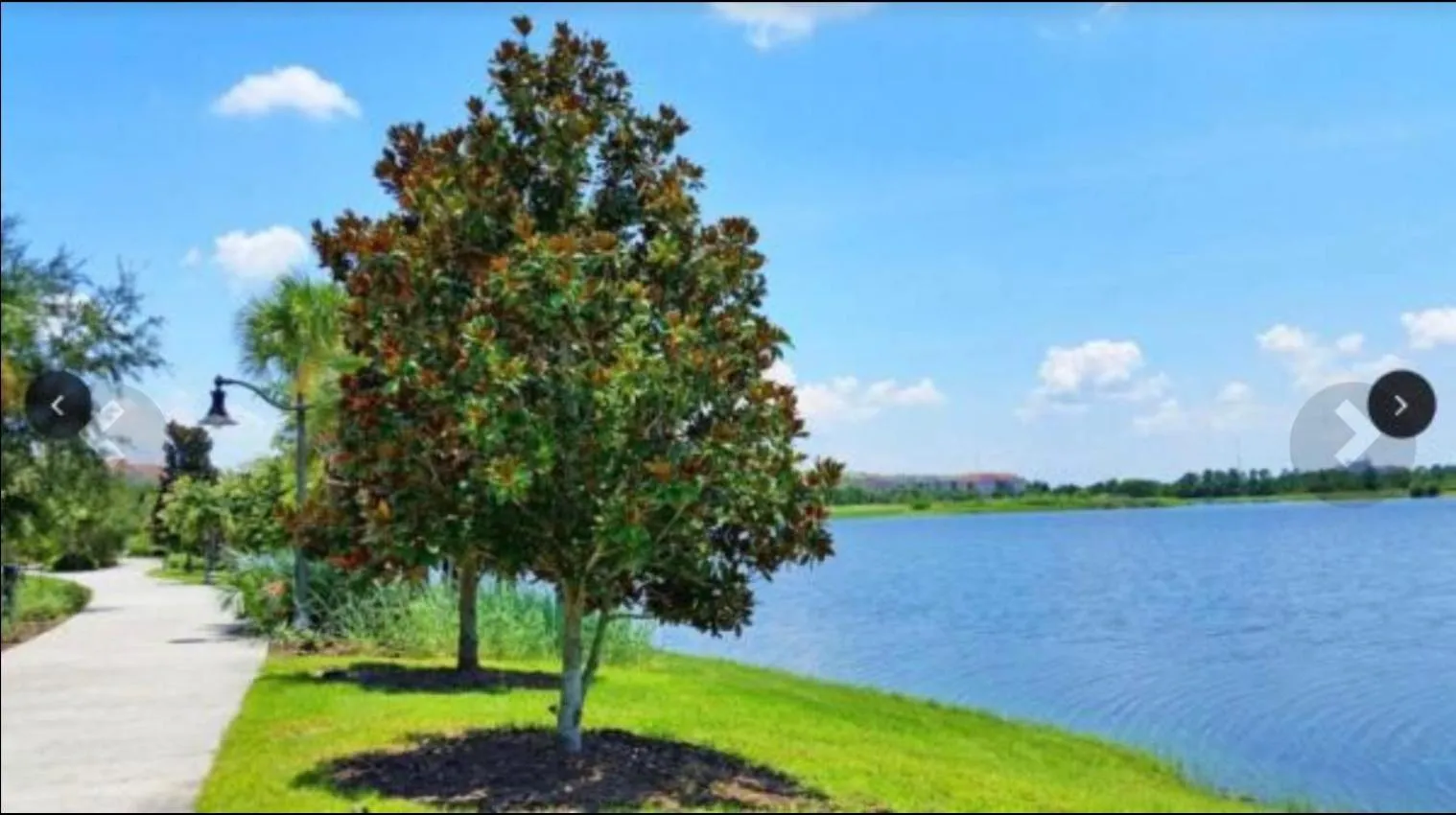 Garden in Executive 3 Bedroom Villa at Universal,Convention Center, Vista Cay
