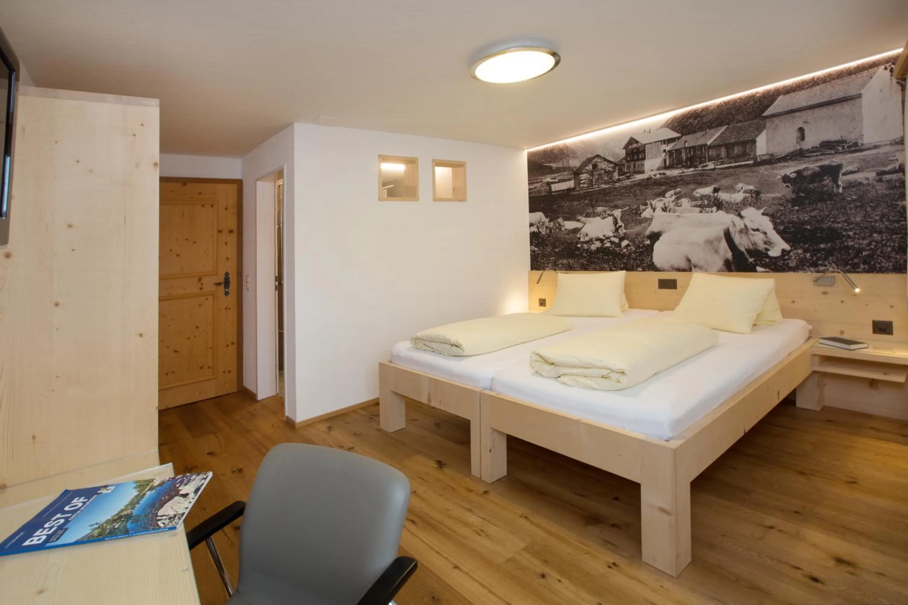 Standard Double Room - single occupancy in Hotel Alpsu