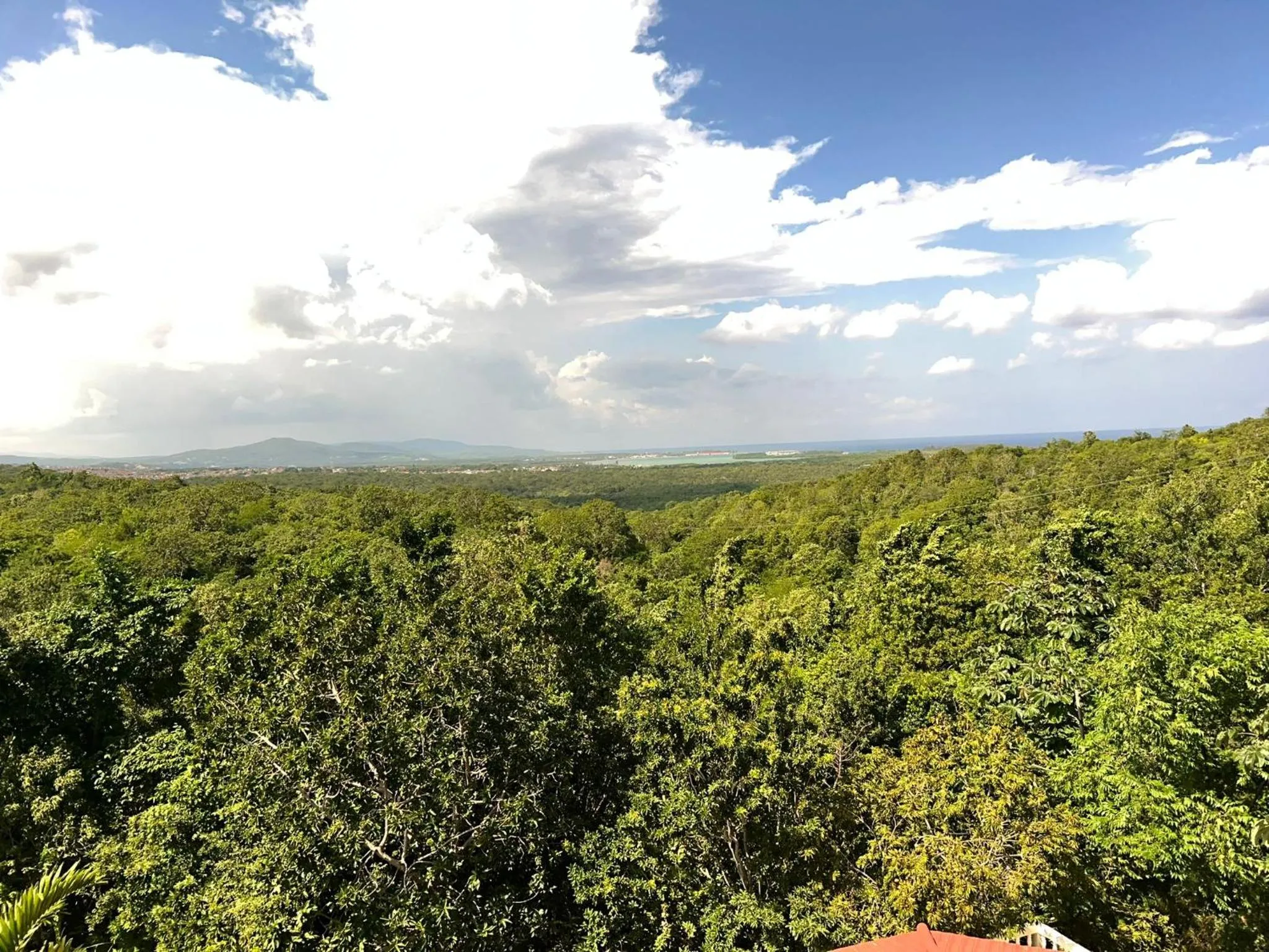 Day in Retreat Guest House