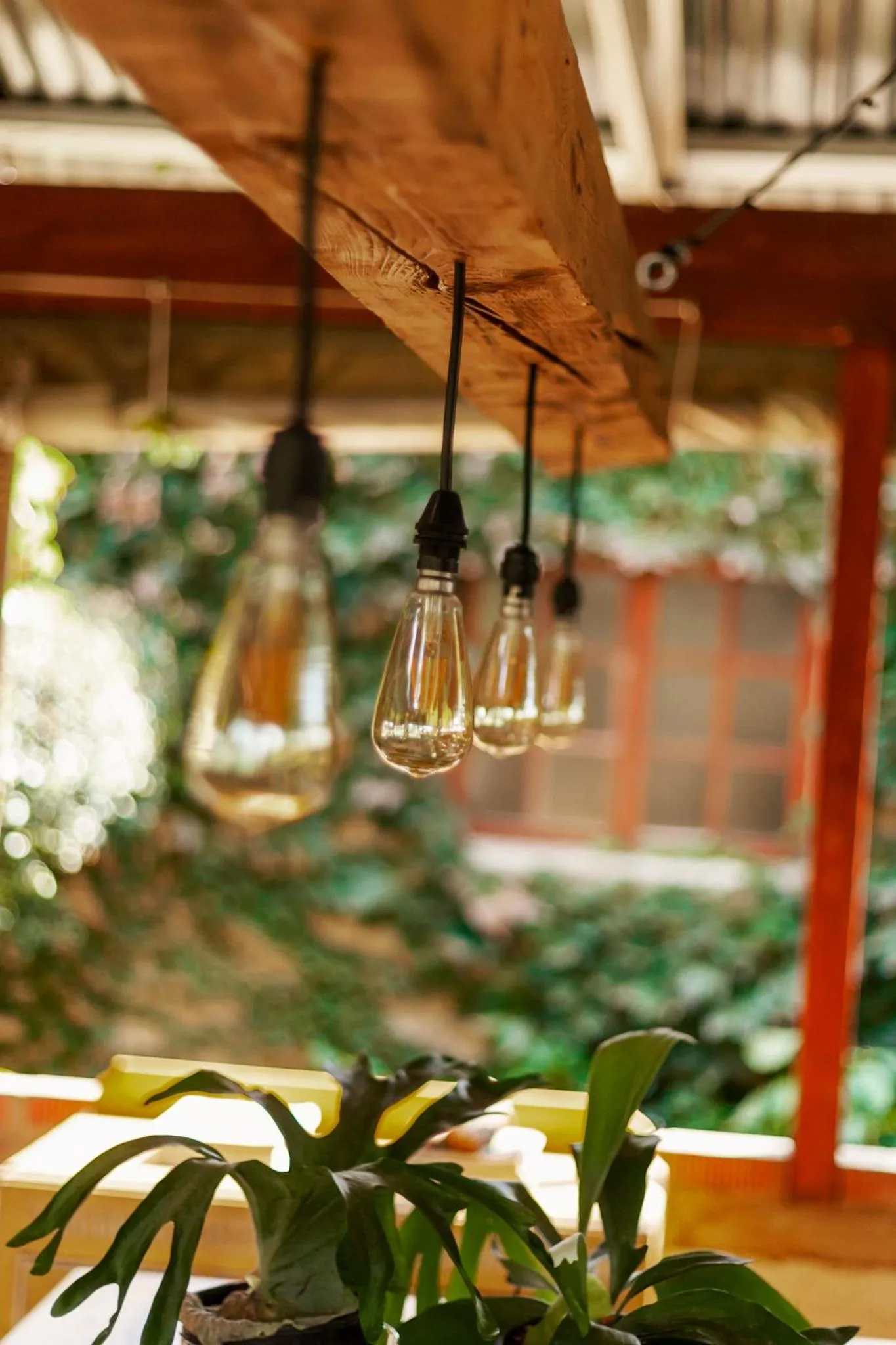 Town and Country Mpumalanga