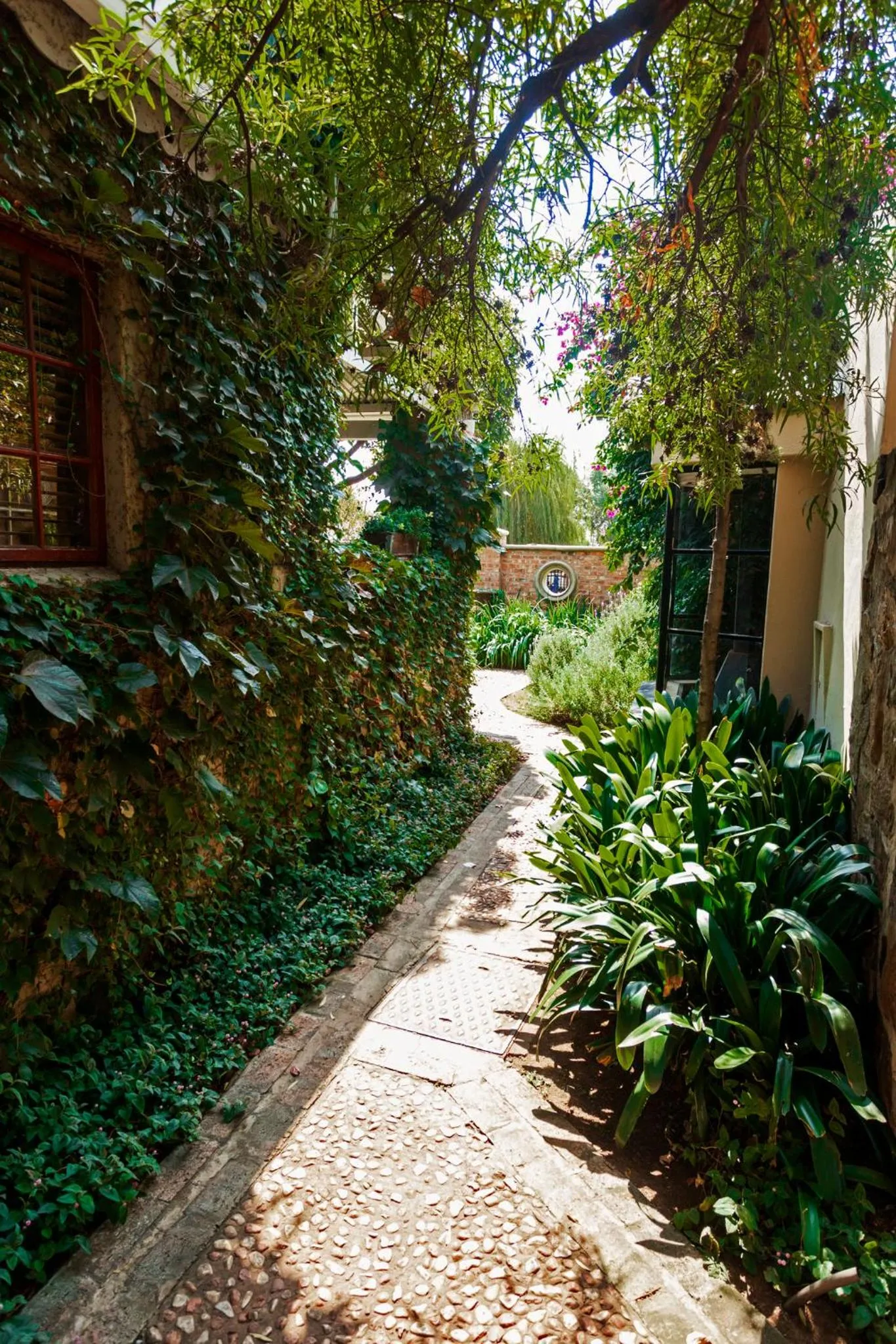 Town and Country Mpumalanga