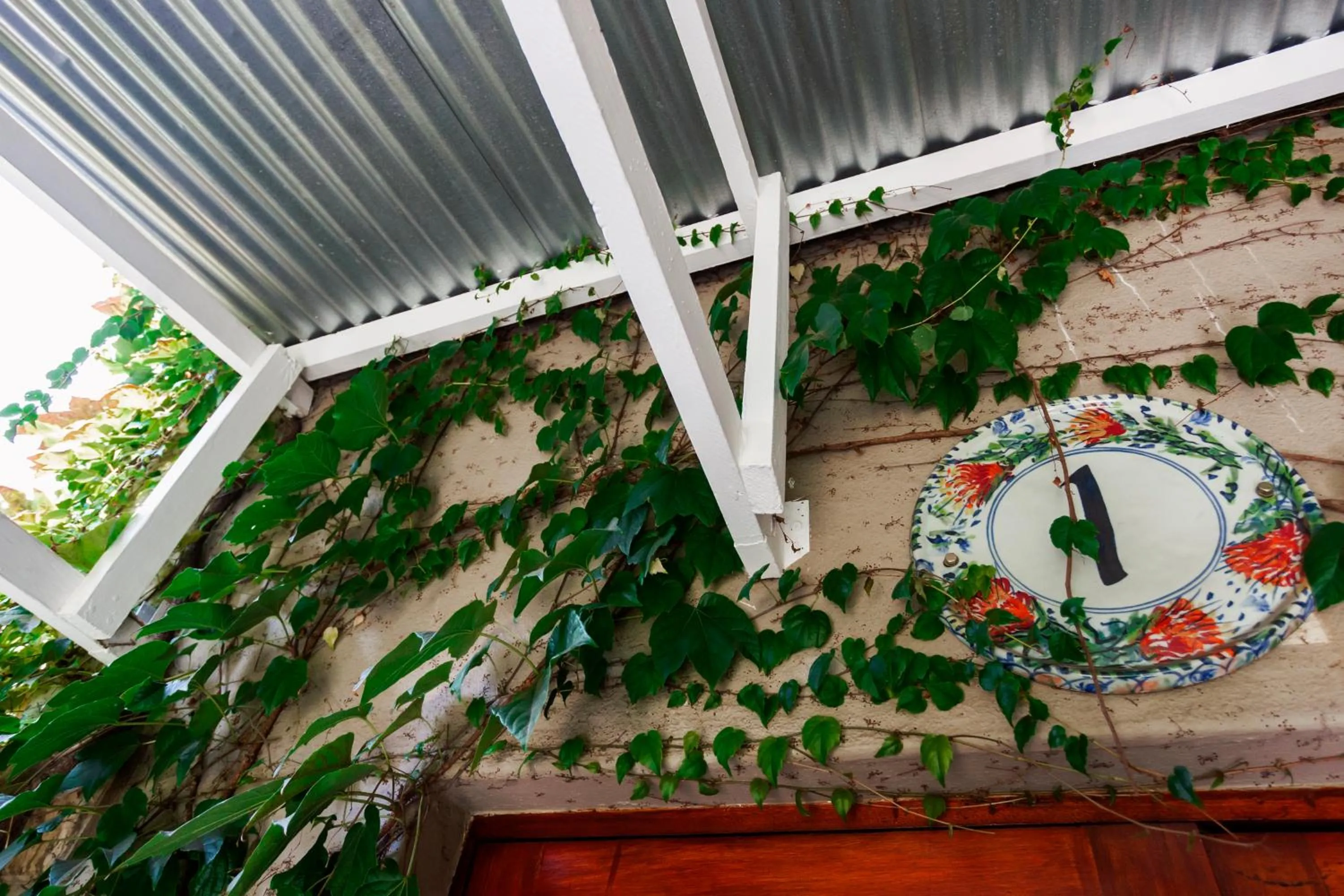 Town and Country Mpumalanga