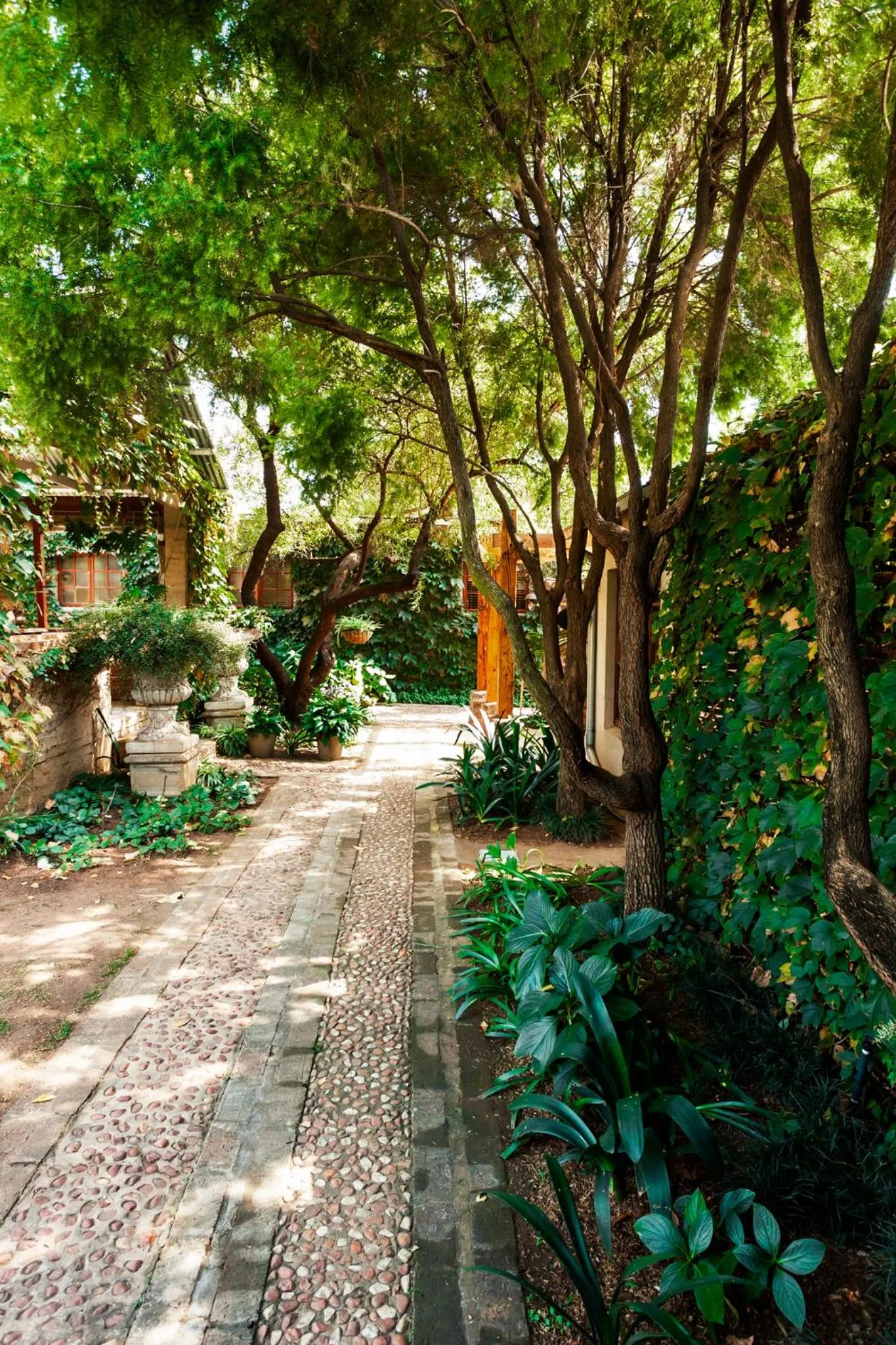 Town and Country Mpumalanga