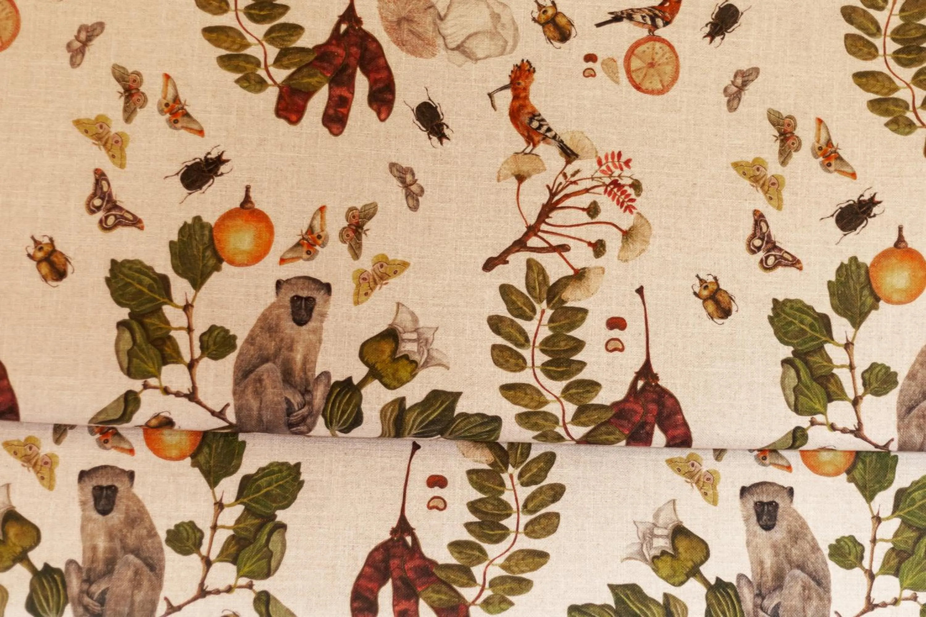 Town and Country Mpumalanga