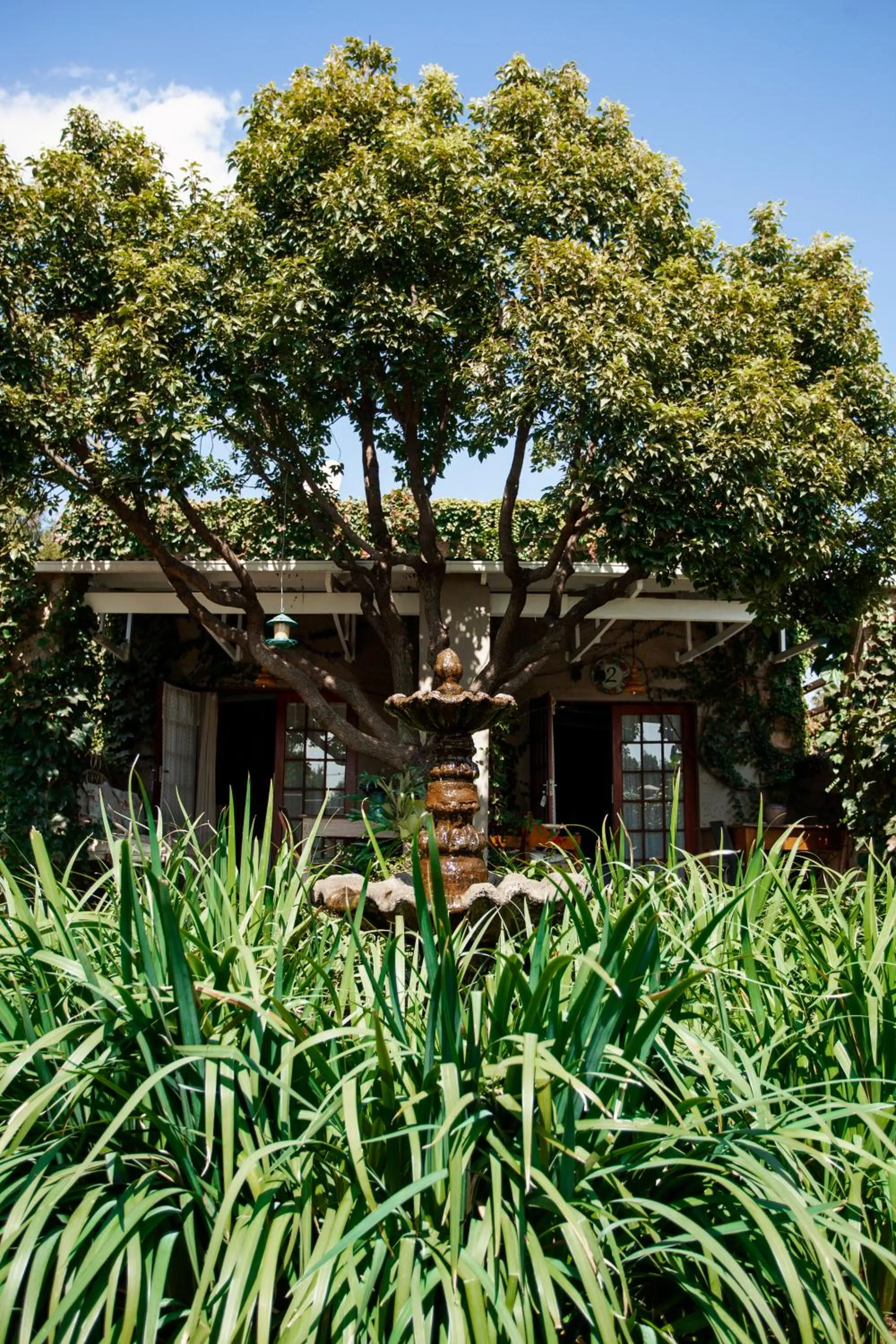 Town and Country Mpumalanga