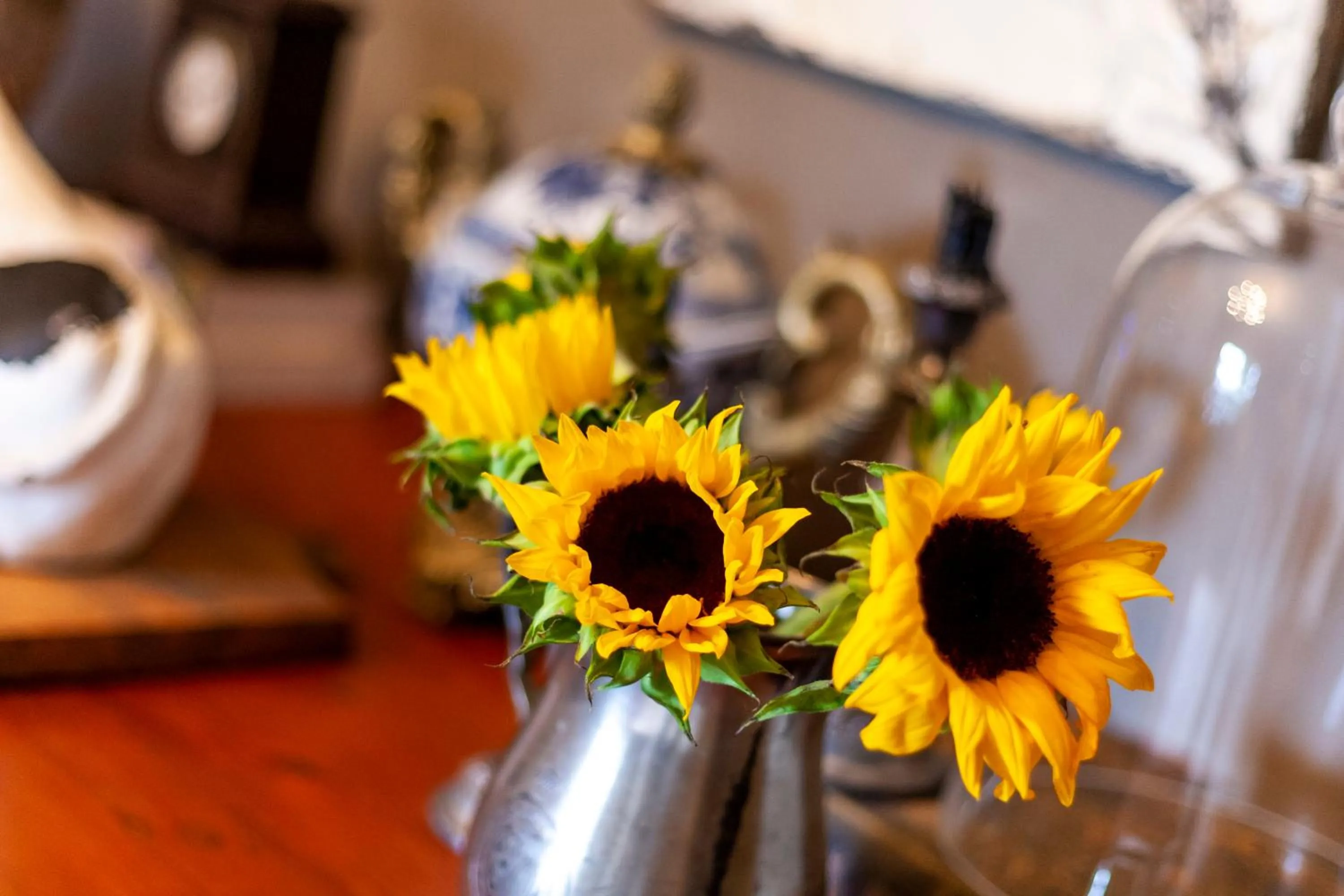 Town and Country Mpumalanga