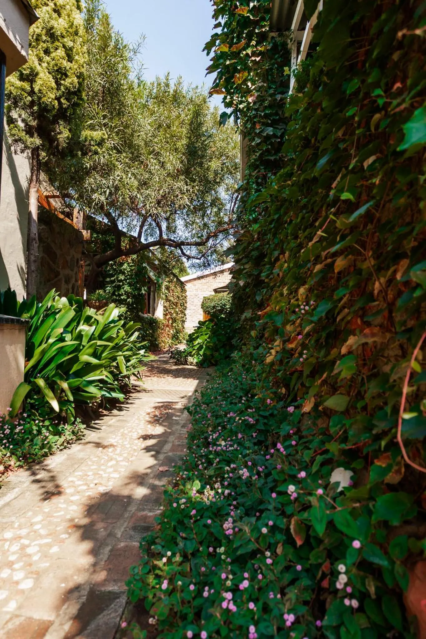 Town and Country Mpumalanga