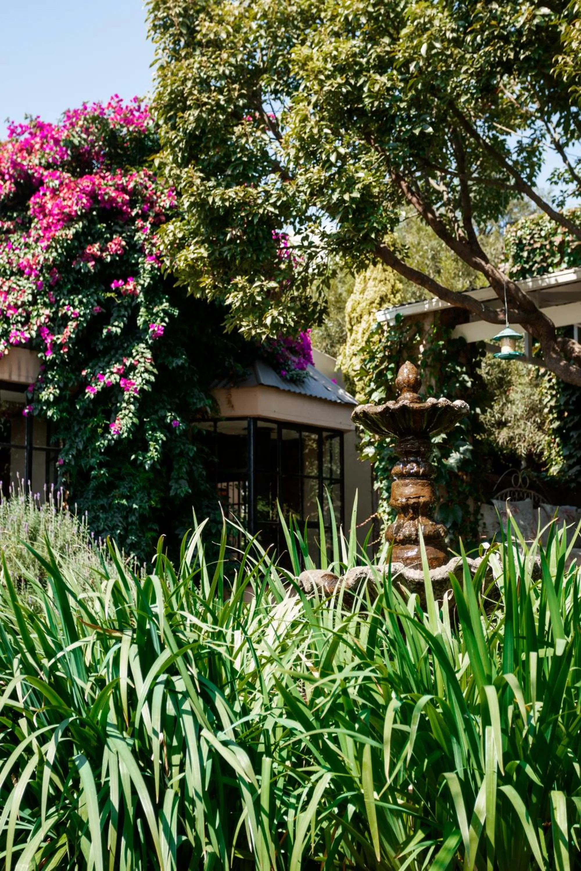 Town and Country Mpumalanga