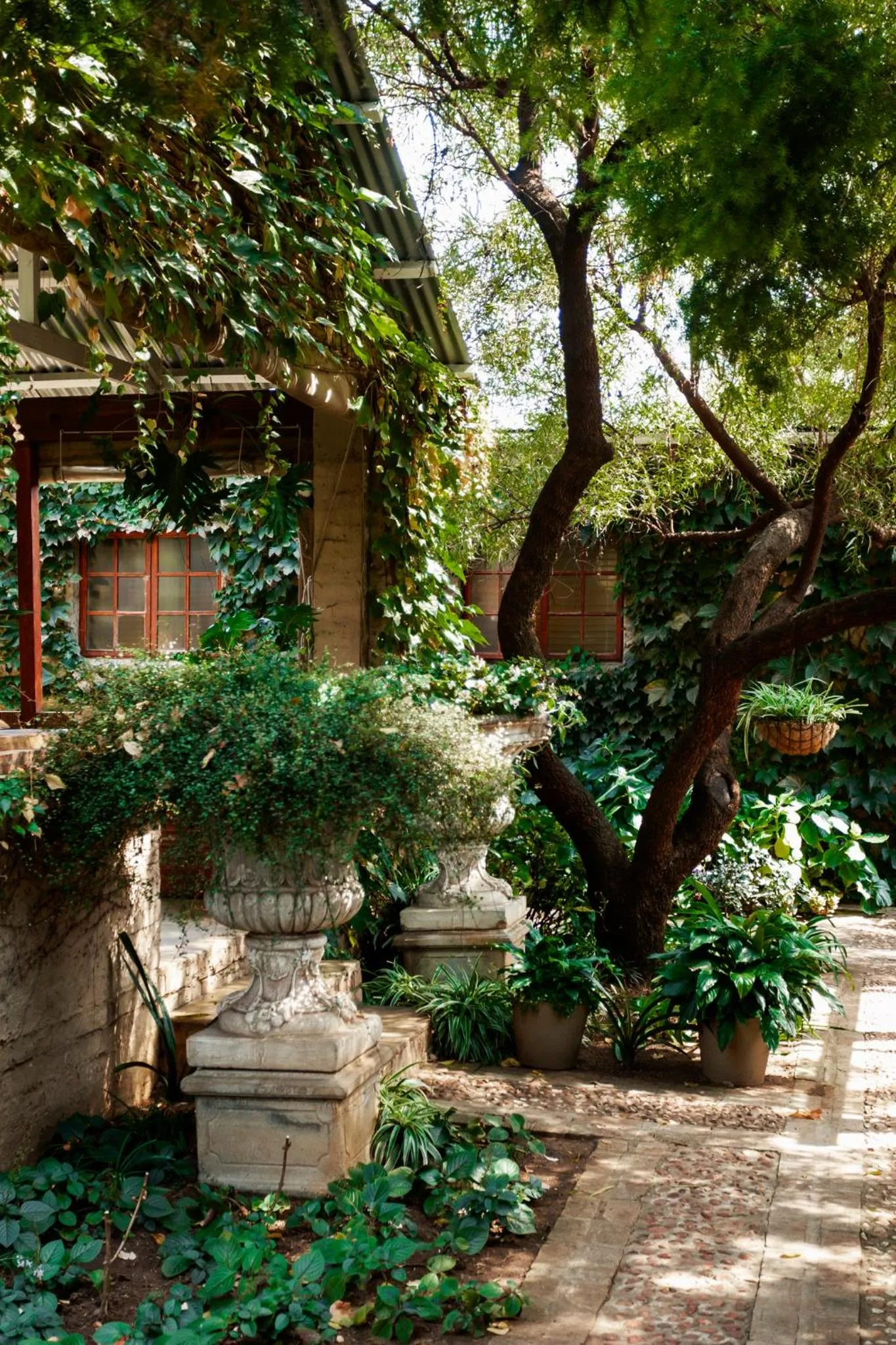 Town and Country Mpumalanga