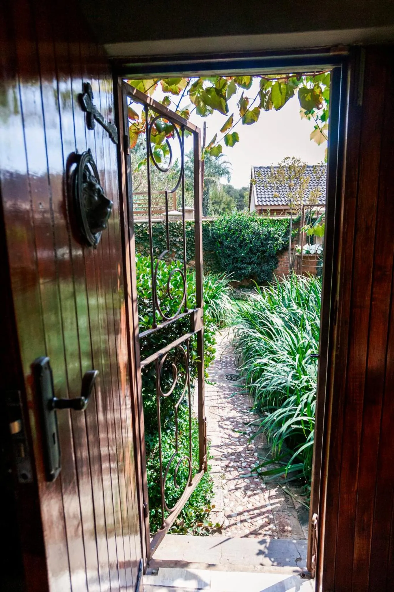 Town and Country Mpumalanga