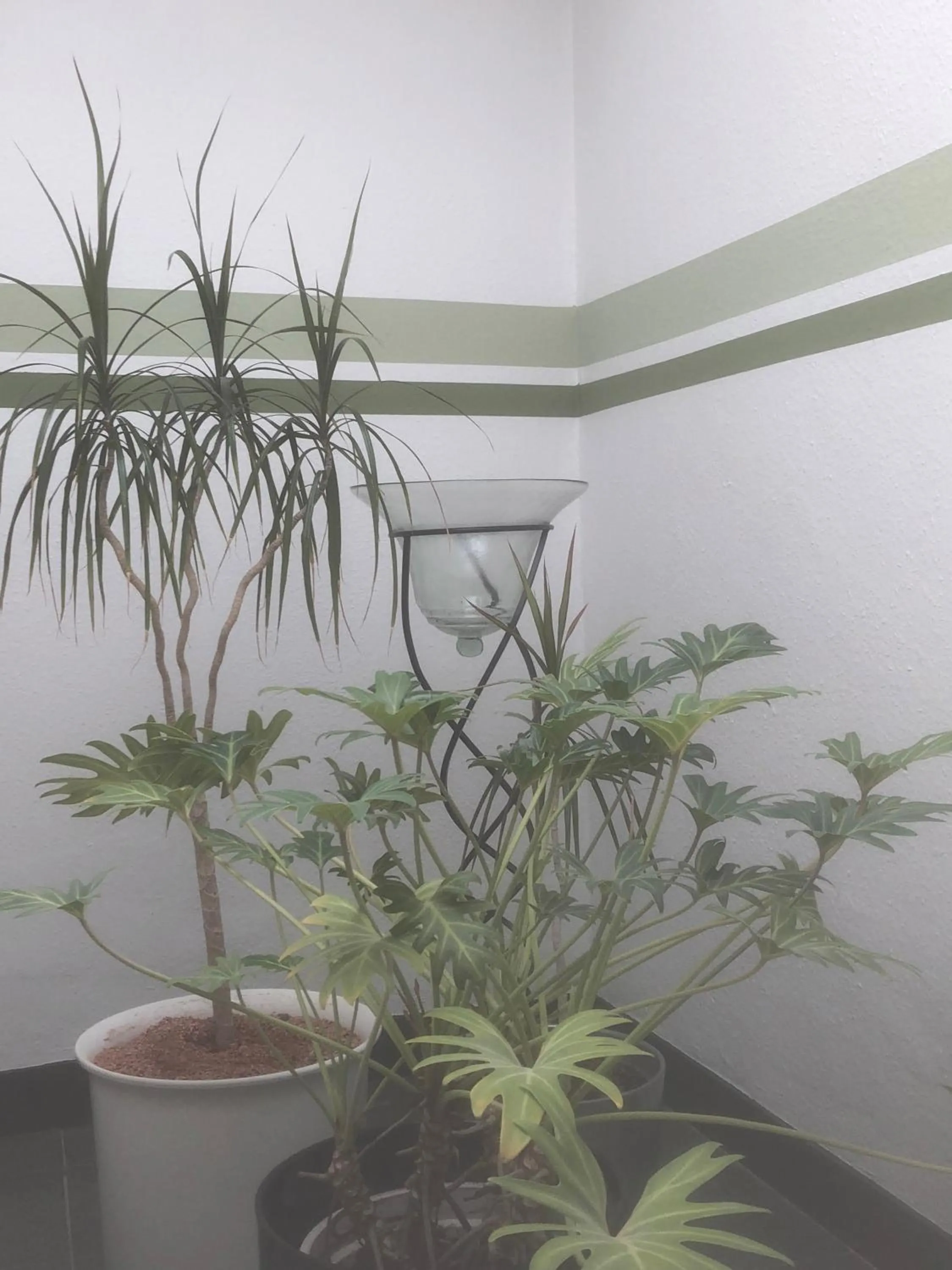 Decorative detail in Hotel Sechzehn