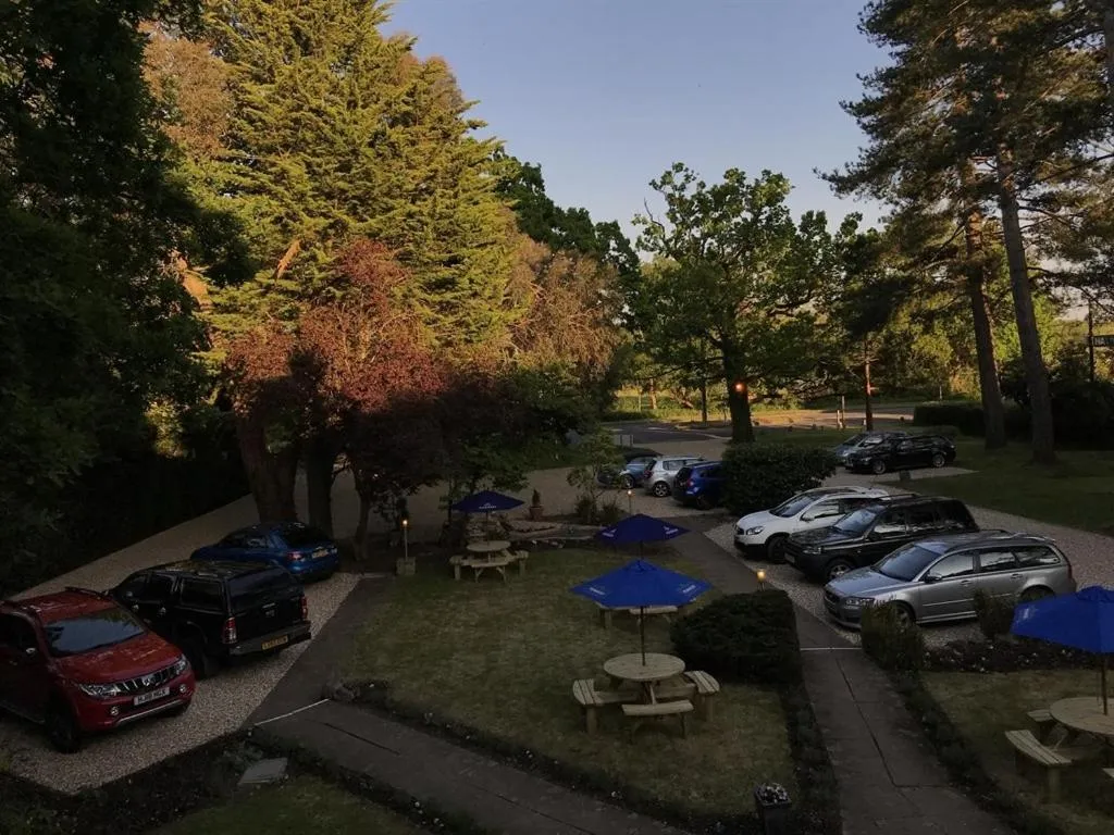 Garden in Le Chateau