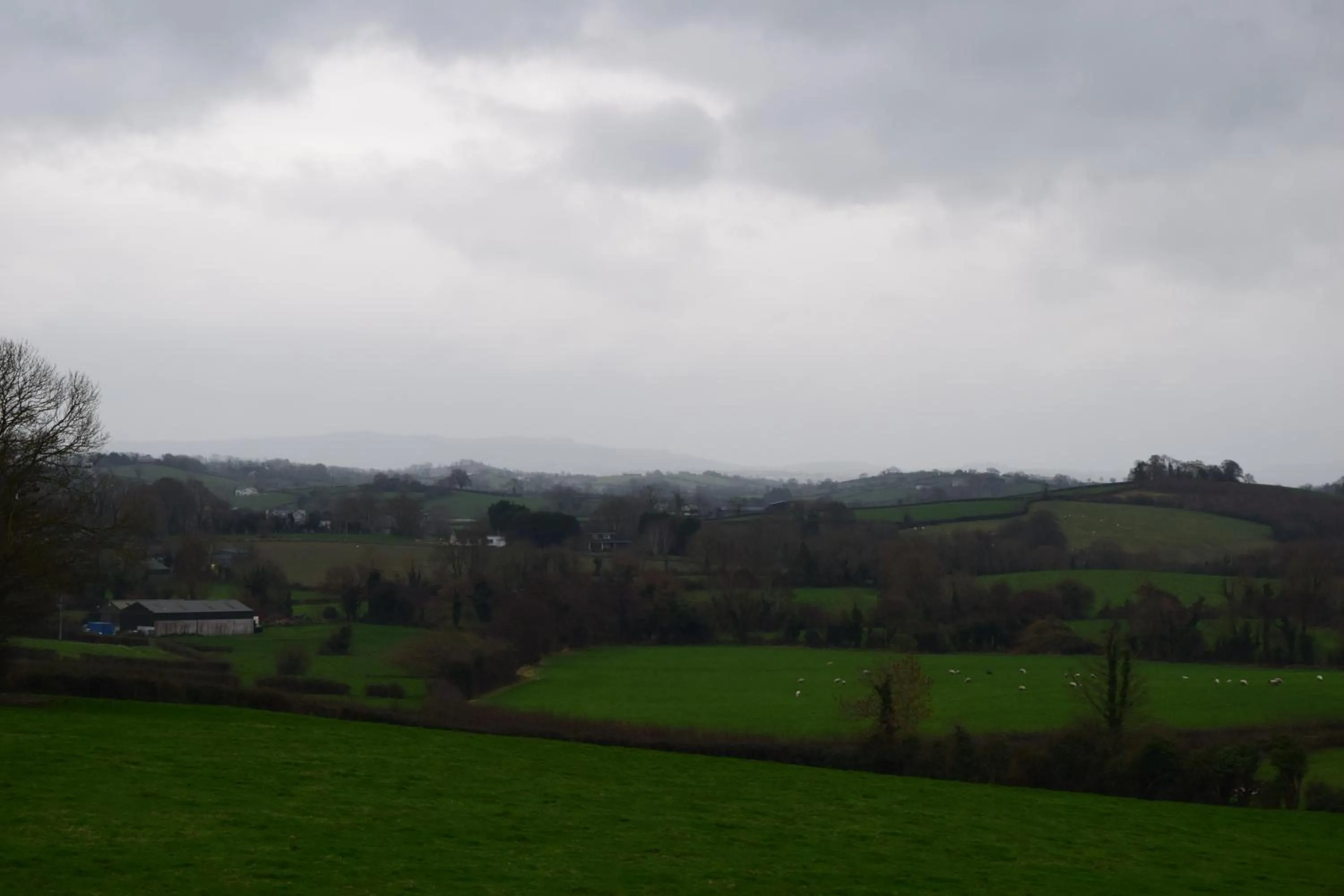 Natural landscape in Hillview Lodge