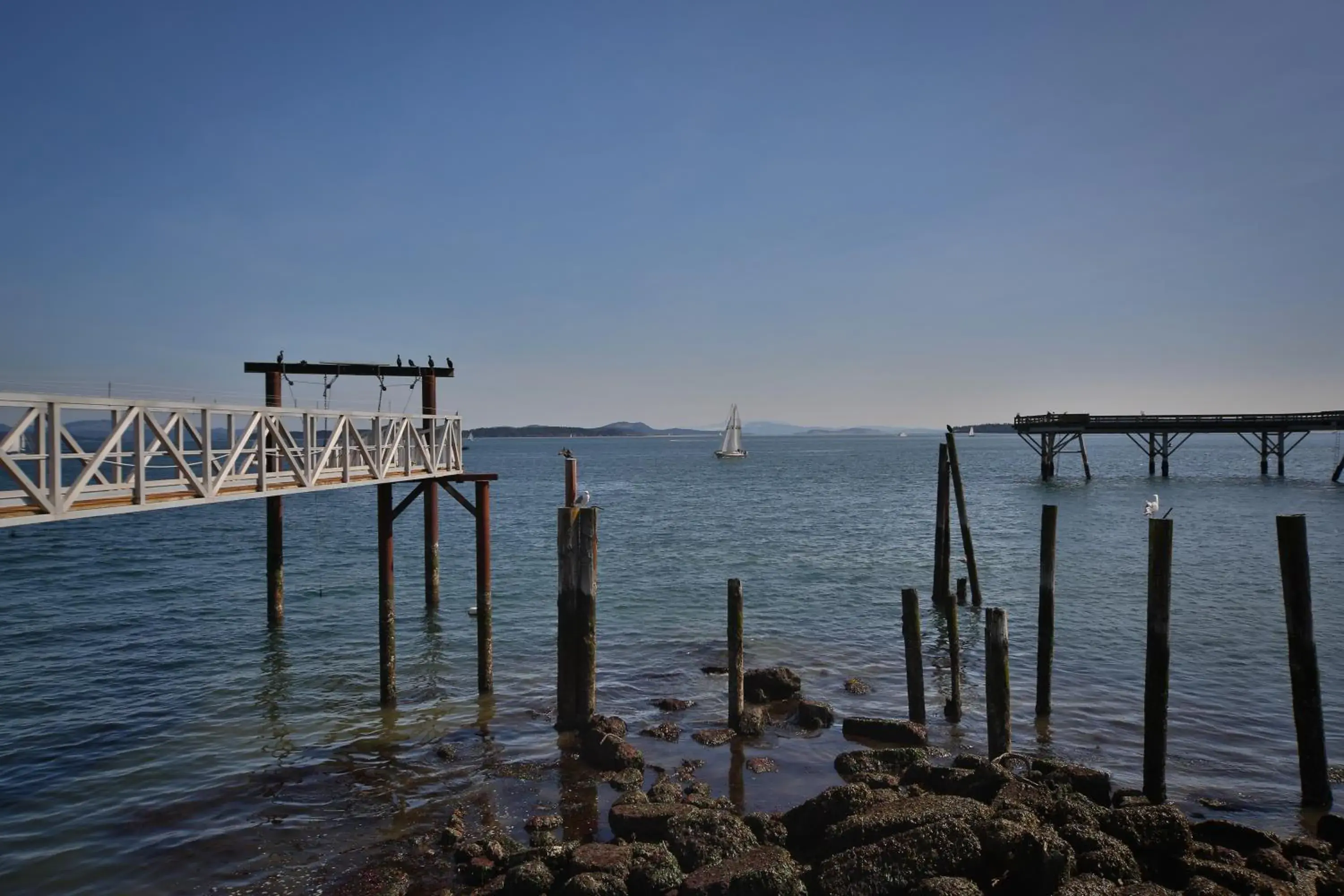 View (from property/room) in Sidney Waterfront Inn & Suites View (from property/room) in Sidney Waterfront Inn & Suites