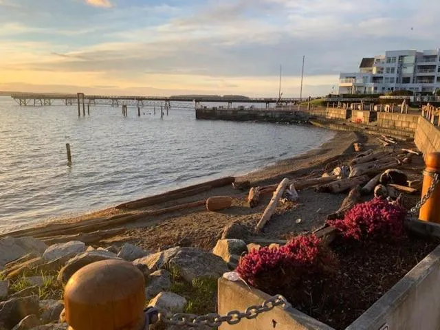 Beach in Sidney Waterfront Inn & Suites