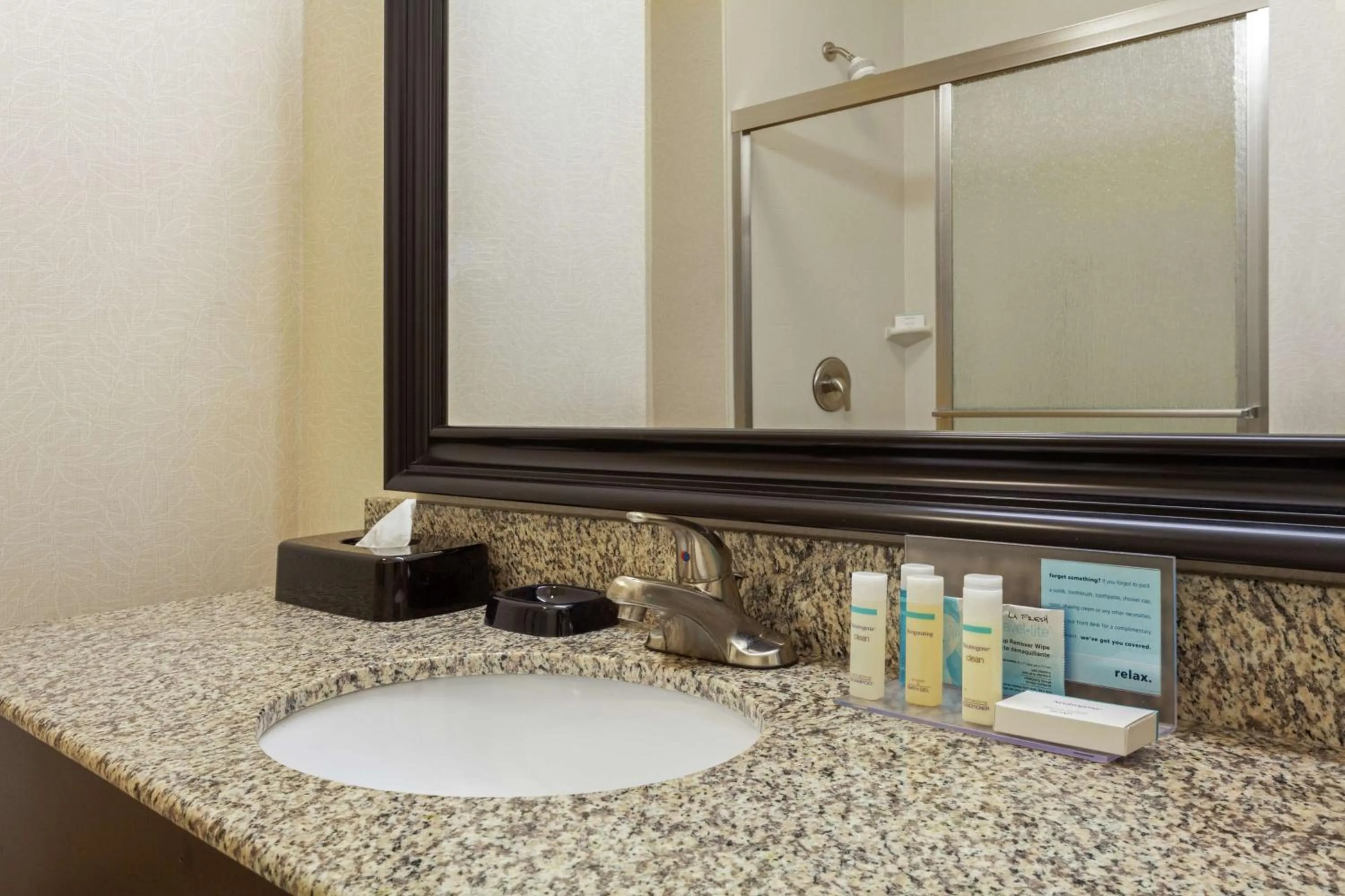 Bathroom in Hampton Inn Ozark