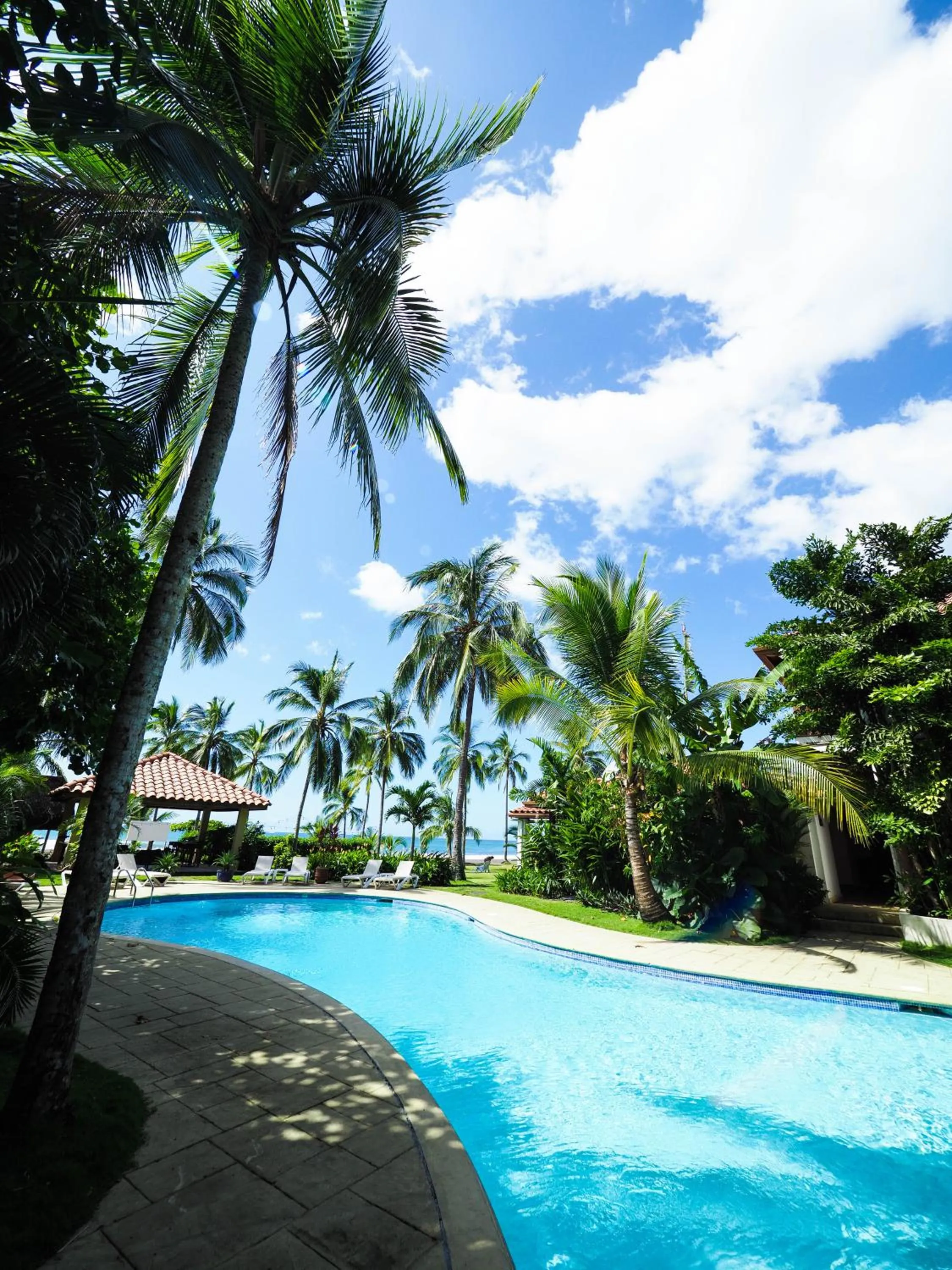 Pool view in Hotel Playa Cambutal
