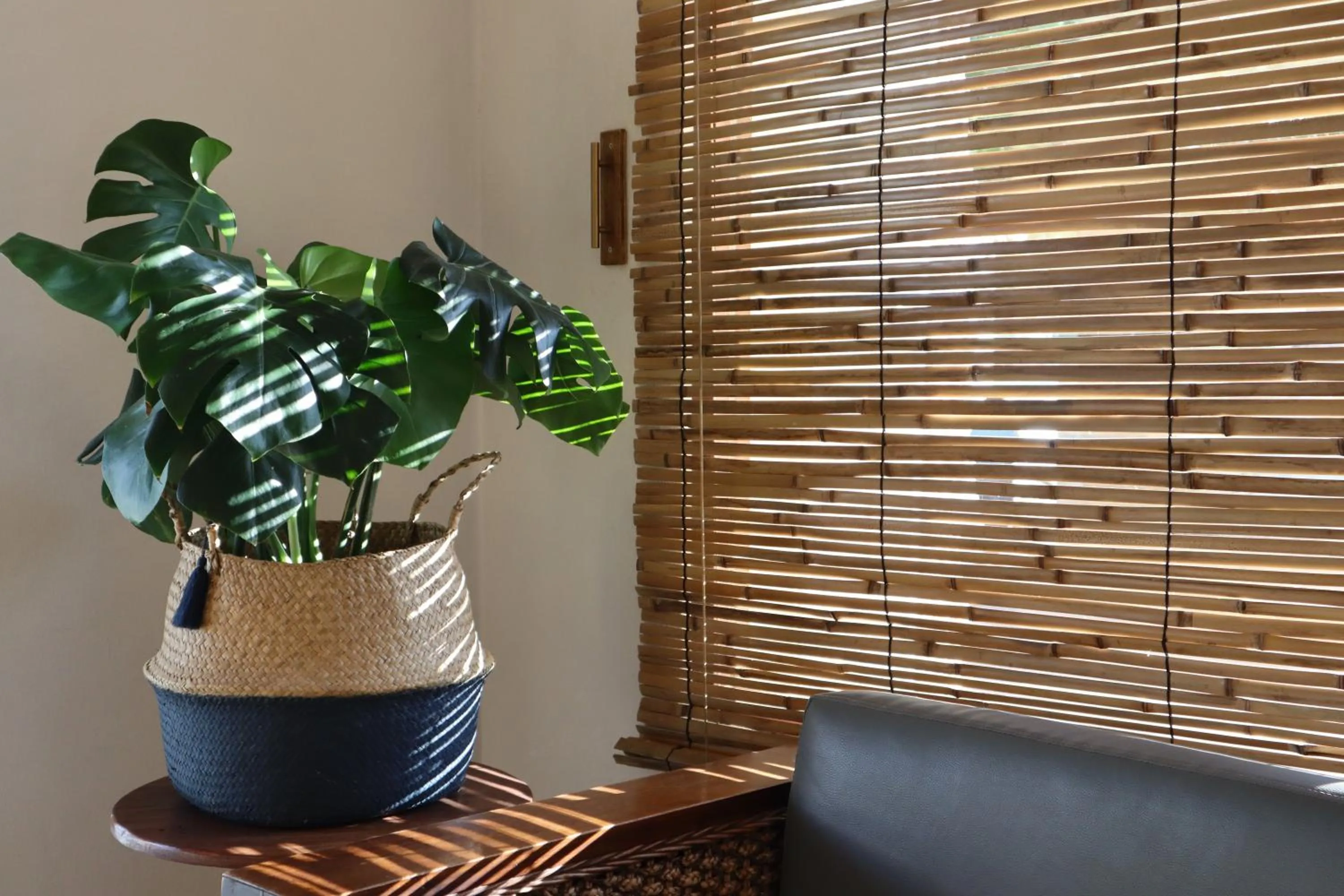 furniture in 3B Wellness Hotel & Hostel Adults Only