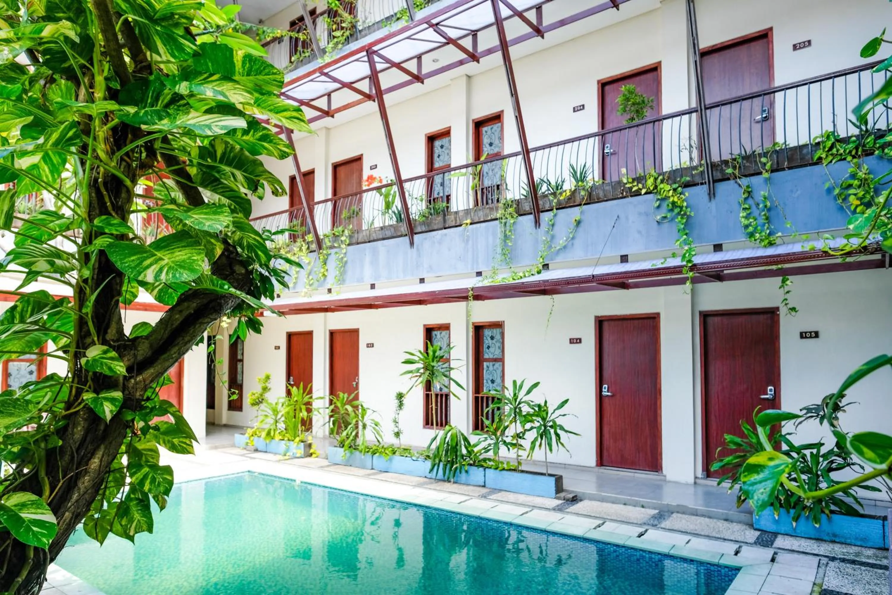Swimming pool in RedDoorz near Legian Street