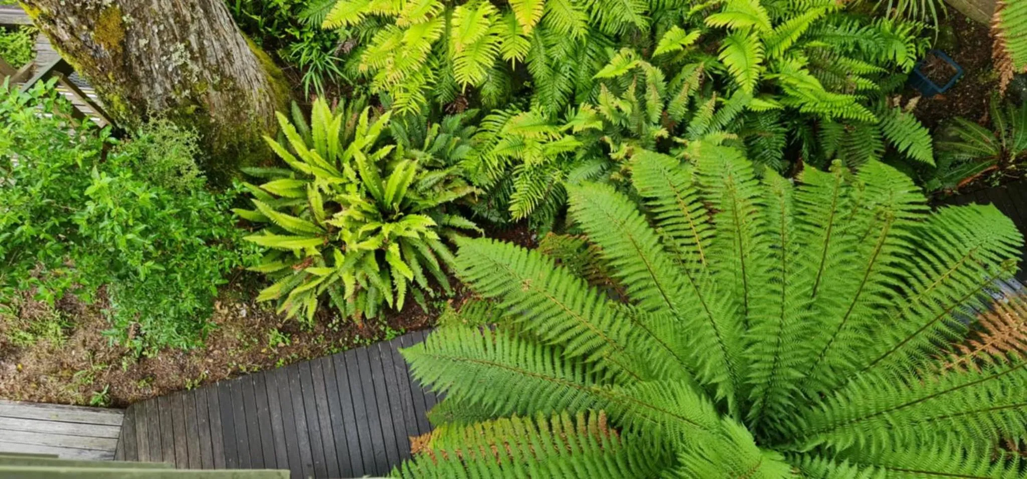 Natural landscape in Alpine Chalets