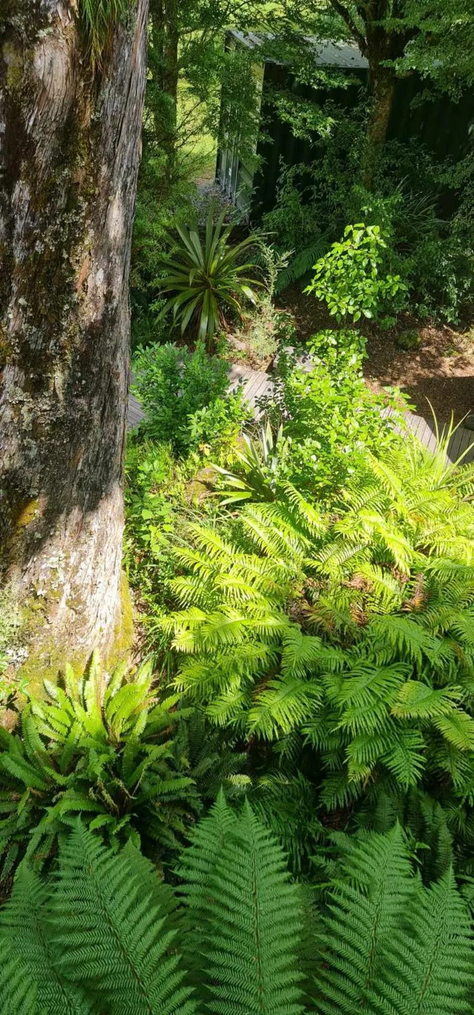 Garden in Alpine Chalets