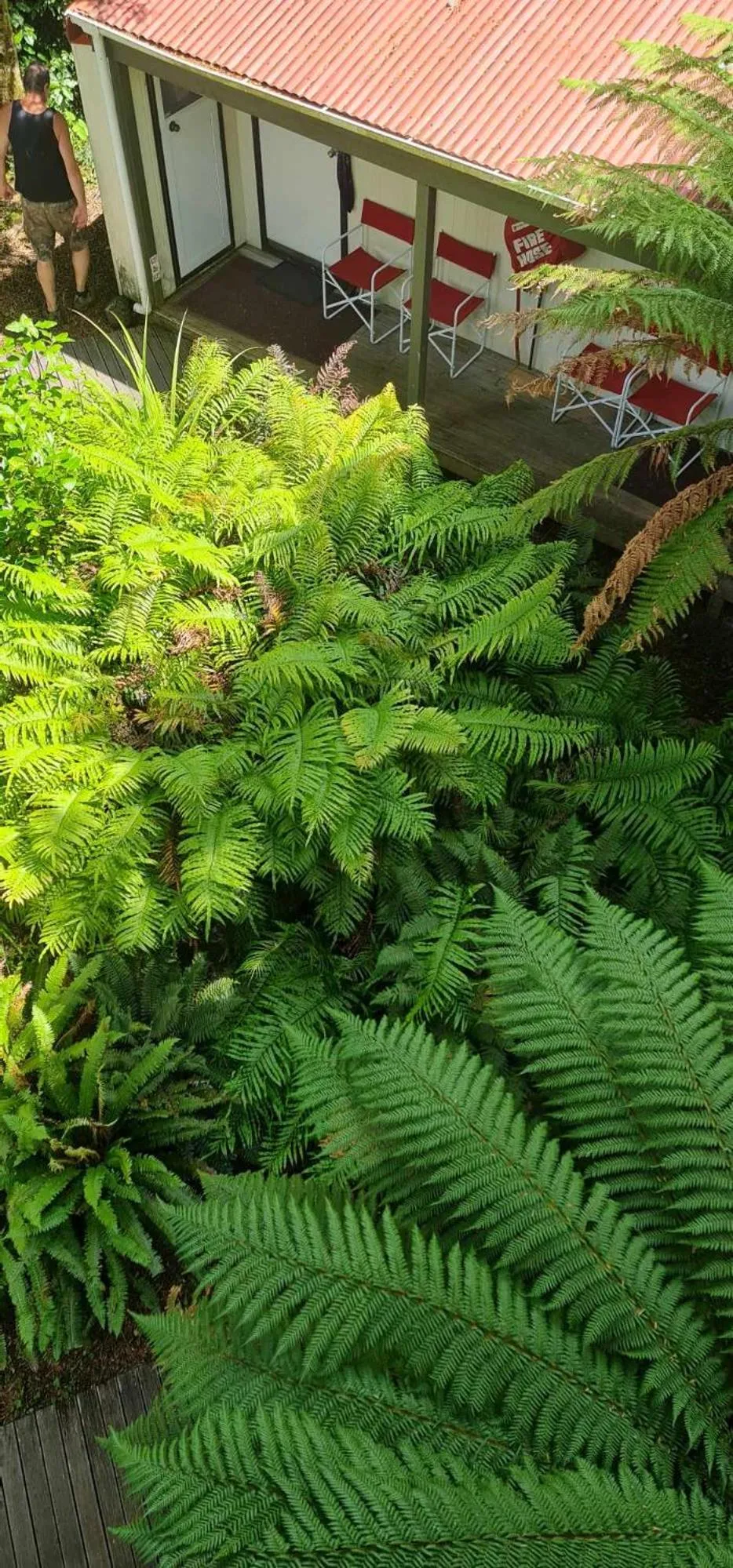Garden in Alpine Chalets