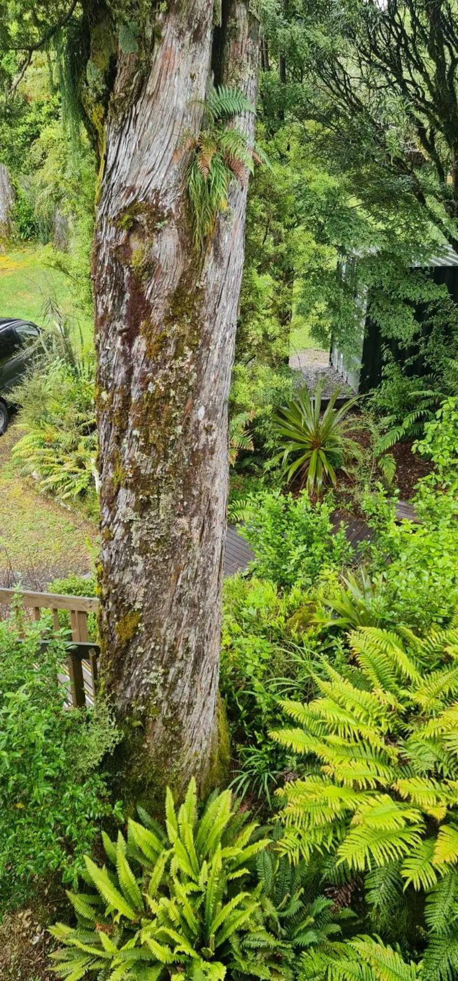 Natural landscape in Alpine Chalets