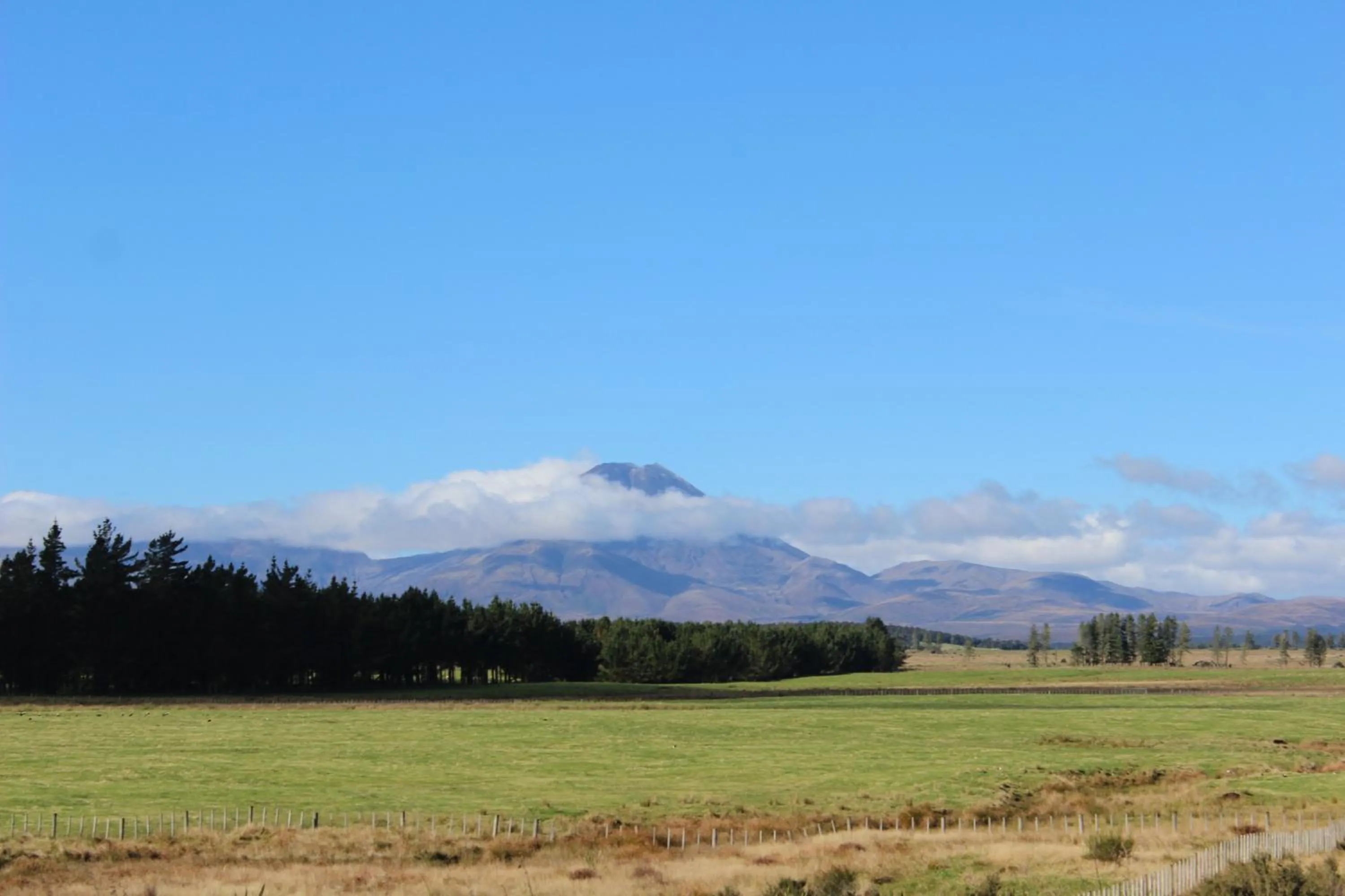 View (from property/room) in Alpine Chalets