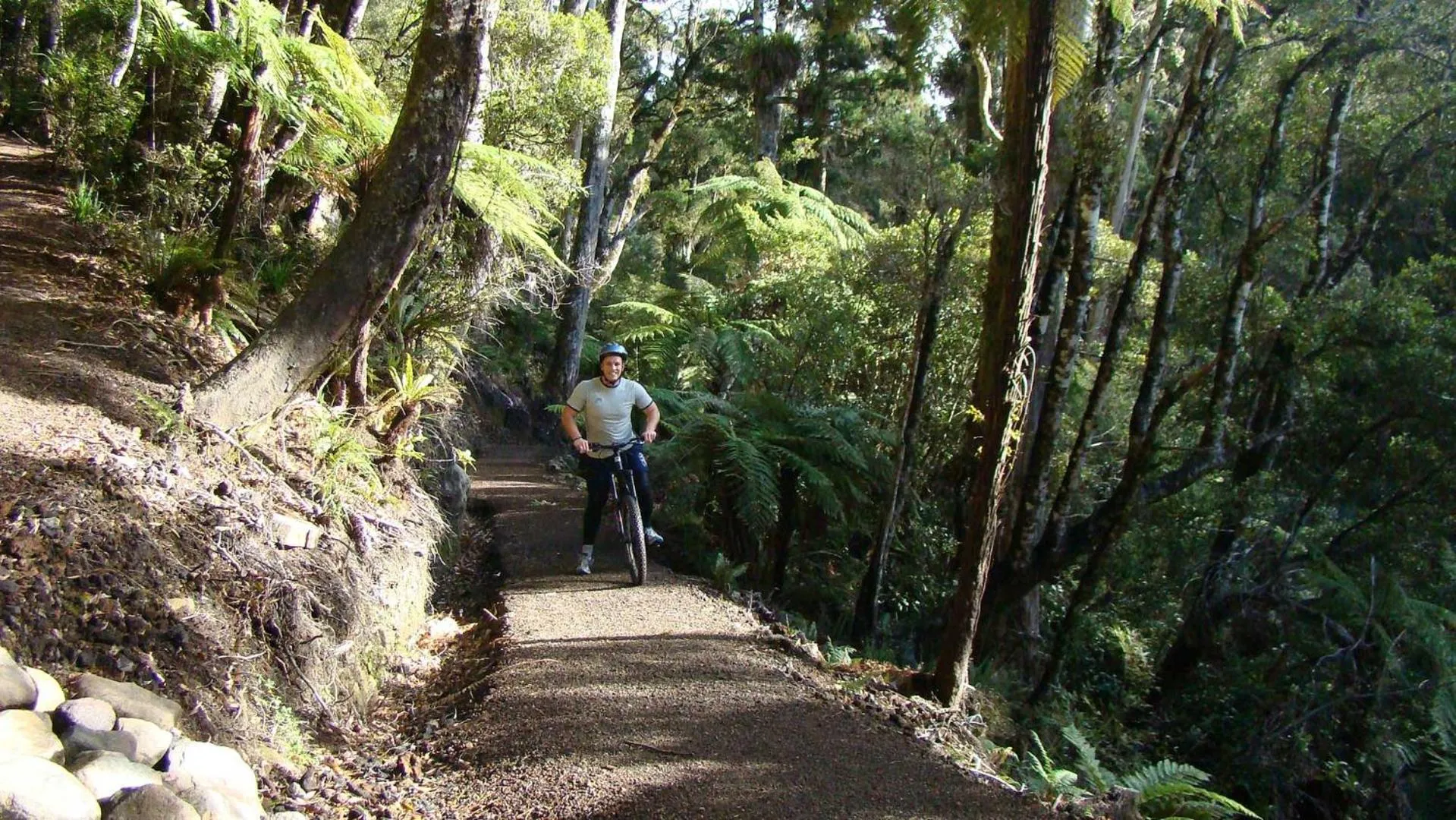 Activities in Alpine Chalets