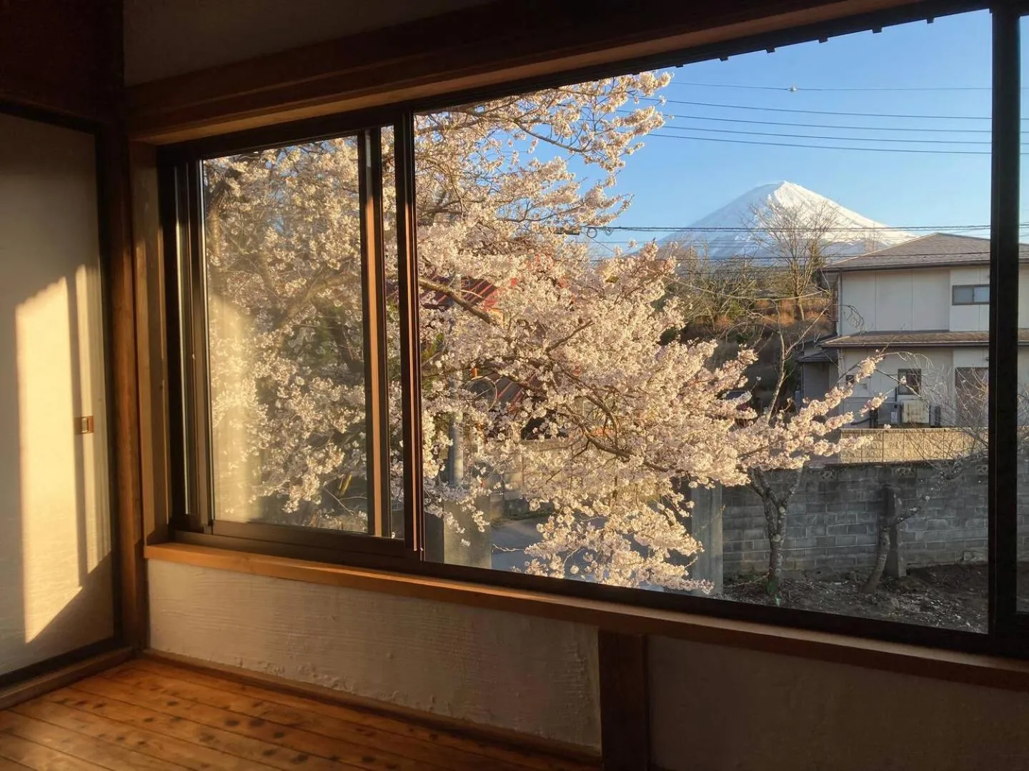 Fuji Sakura House