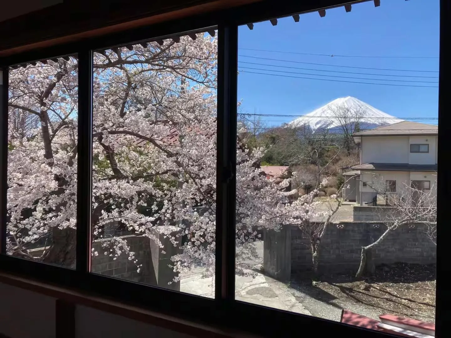 Fuji Sakura House