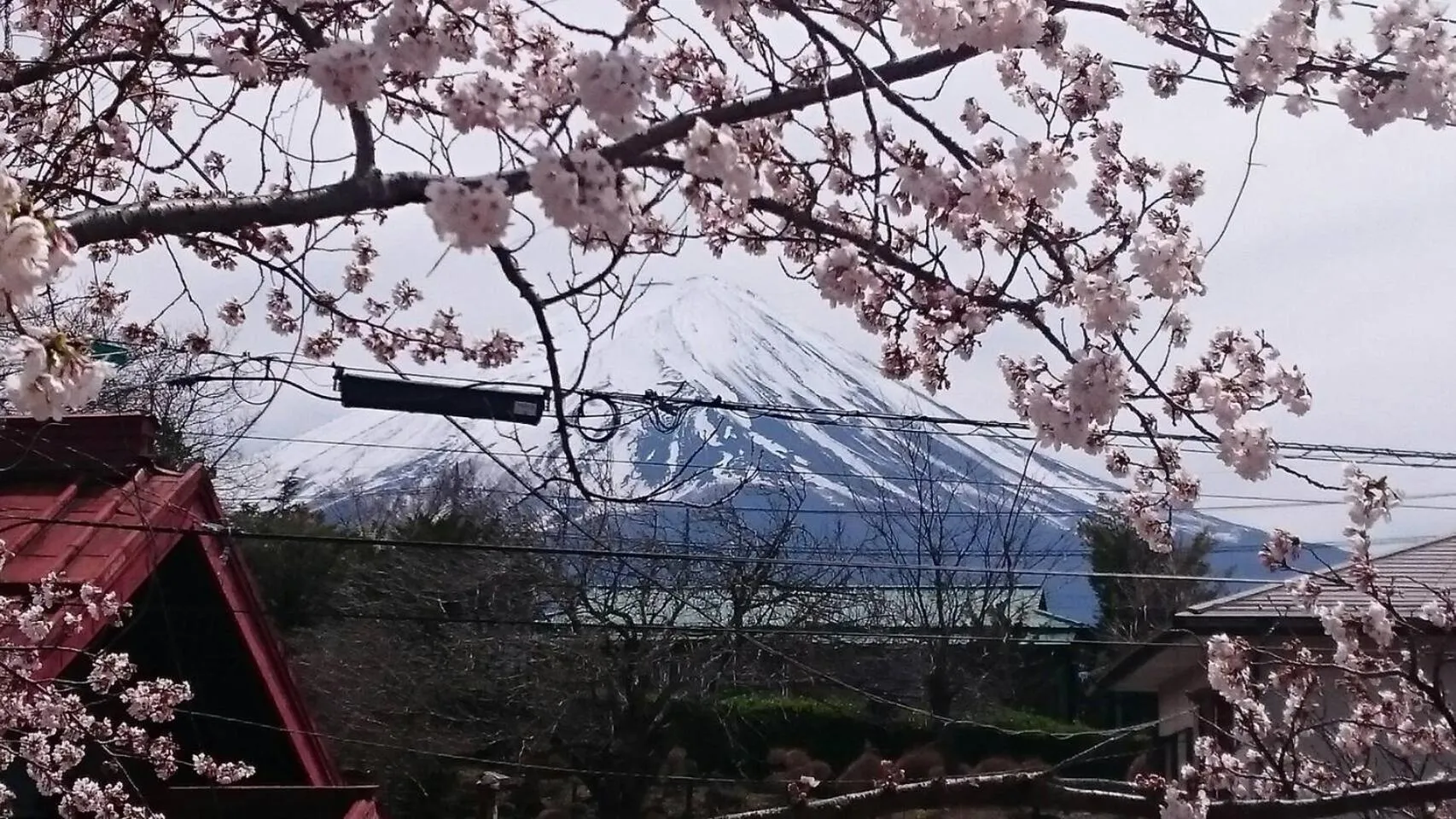 Mountain view in Fuji Sakura House