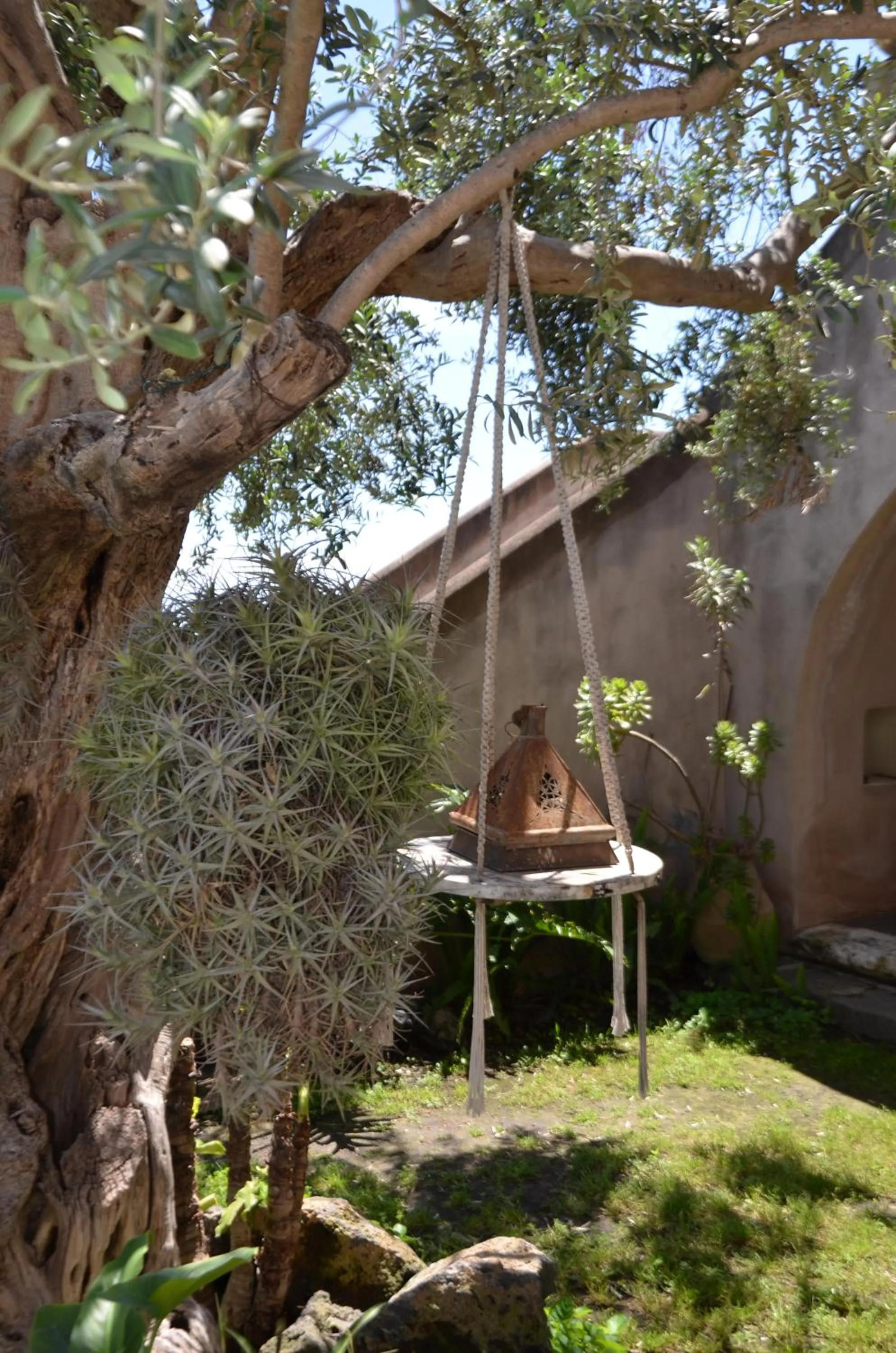 Garden in La casa del panorama