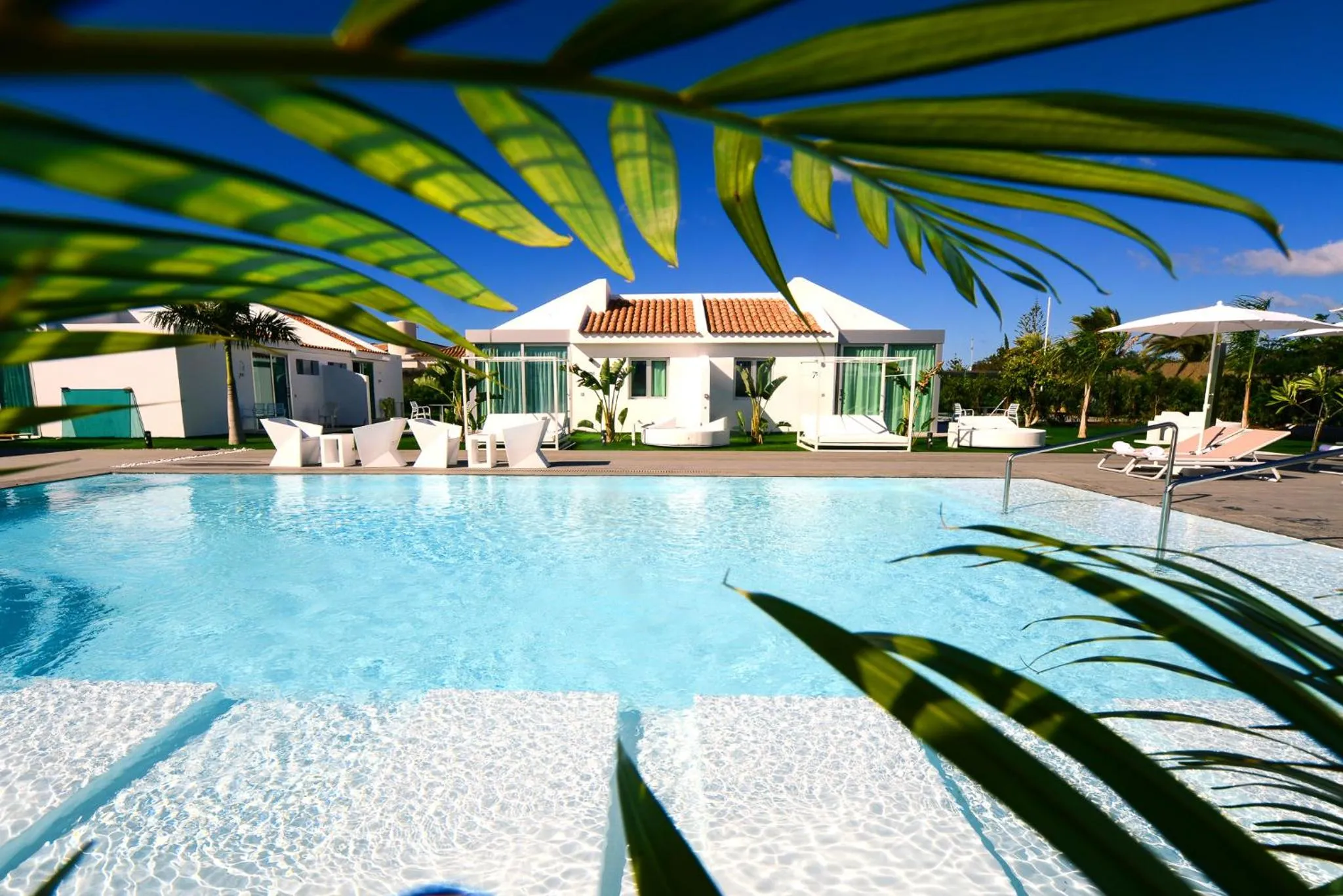 Swimming pool in Seven Hotel & Wellness - Gay Men Only