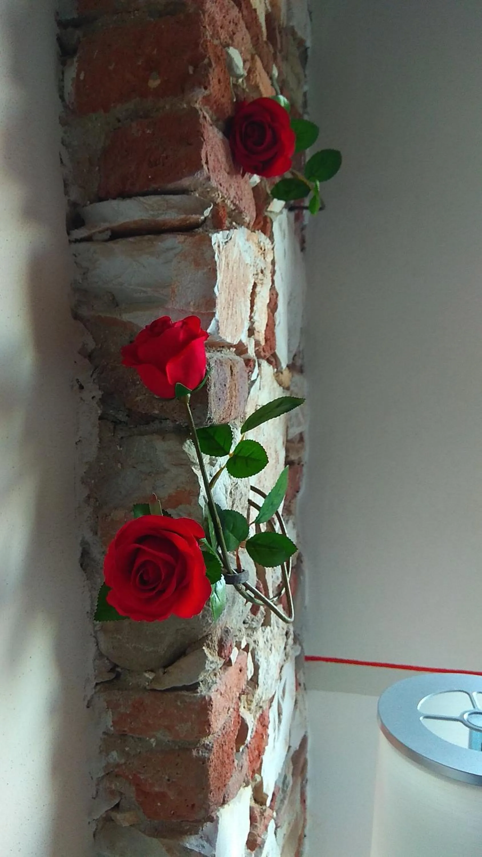 Le rondini di San Donato