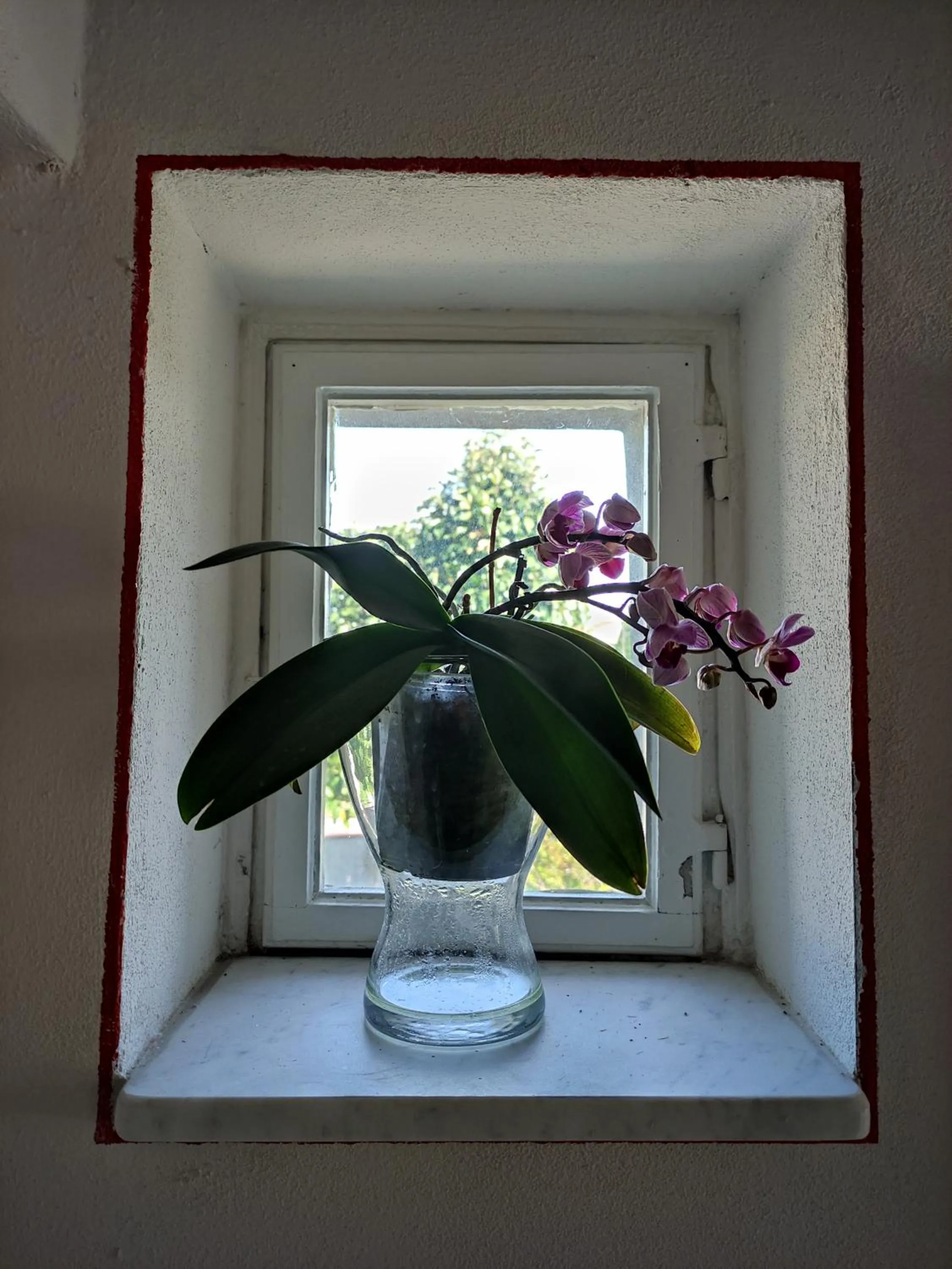 Le rondini di San Donato