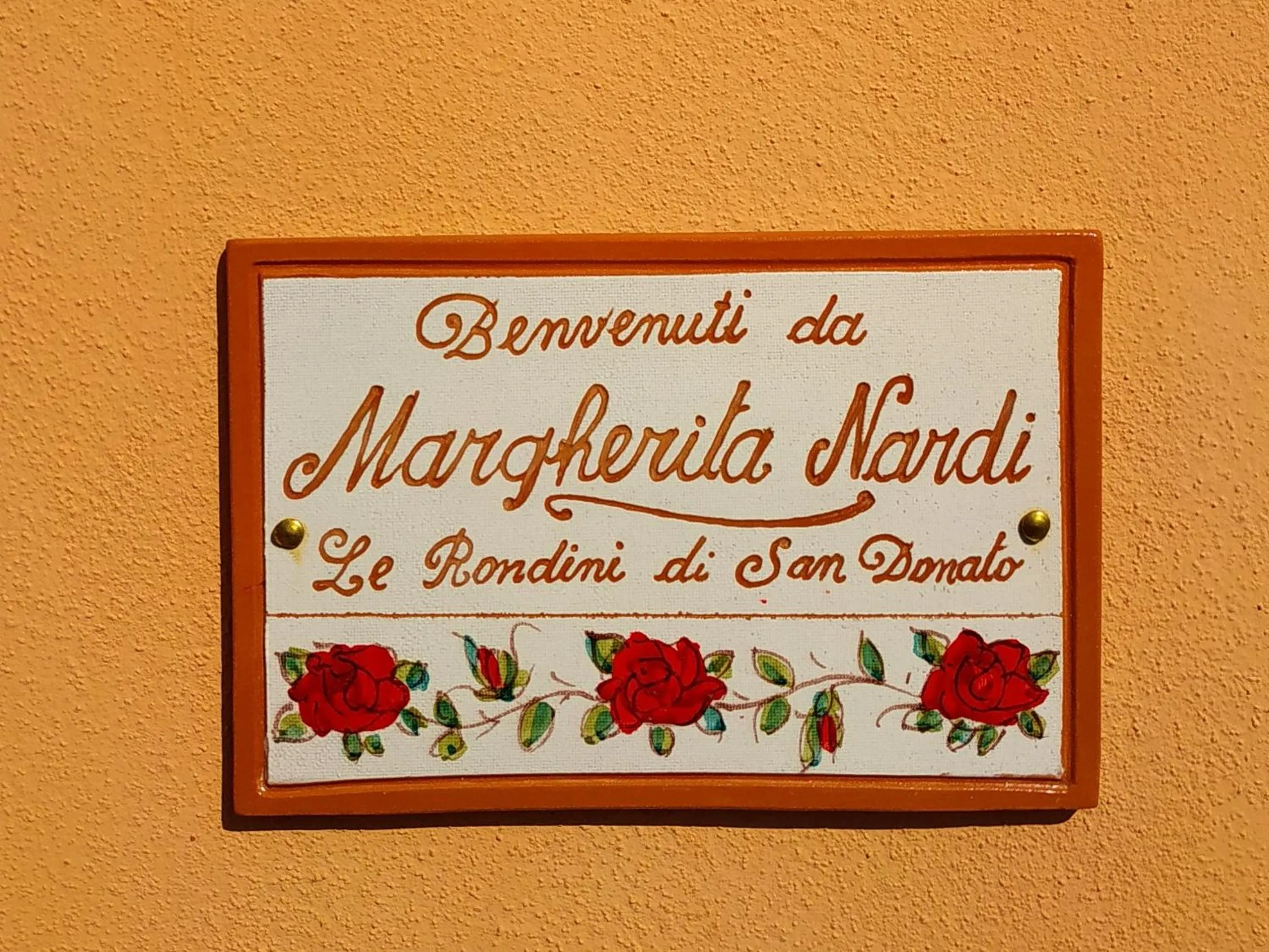 Le rondini di San Donato